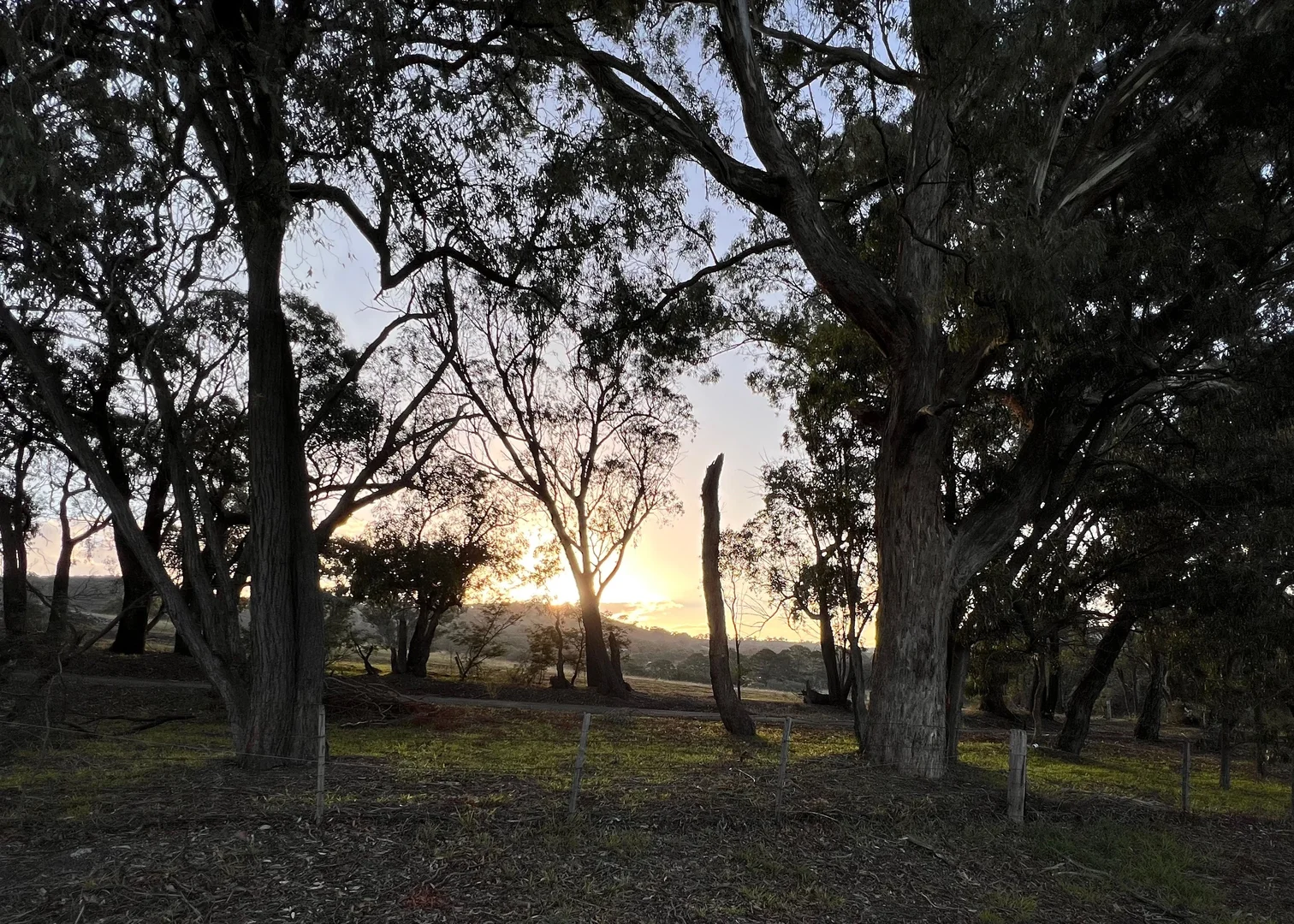 Image 10