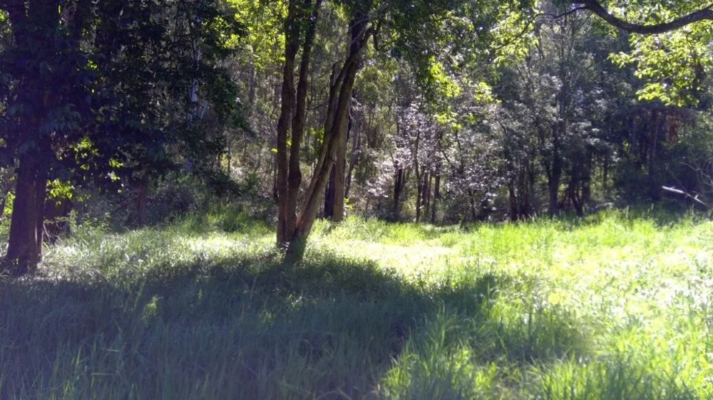 Image 10