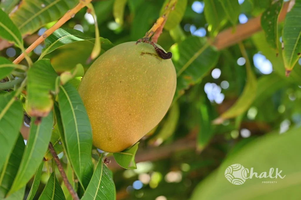 Additional image 20 of 46 St Andrews Loop, Cooloongup WA 6168