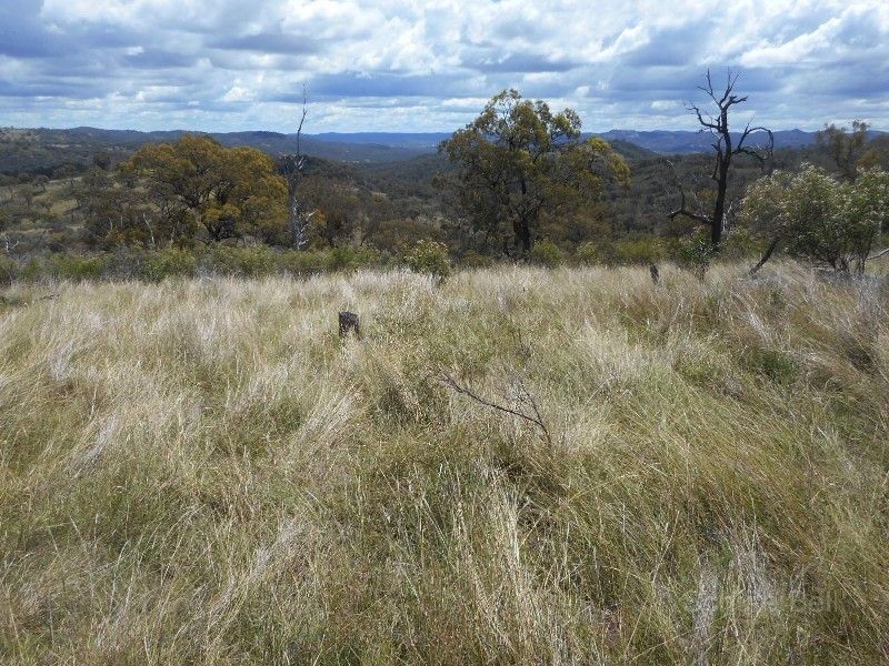 Emmaville NSW 2371, Image 2