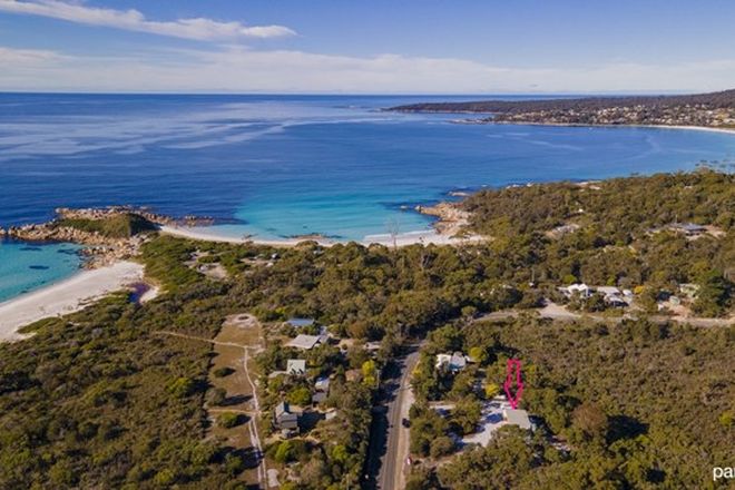 Picture of 347 Gardens Road, BINALONG BAY TAS 7216