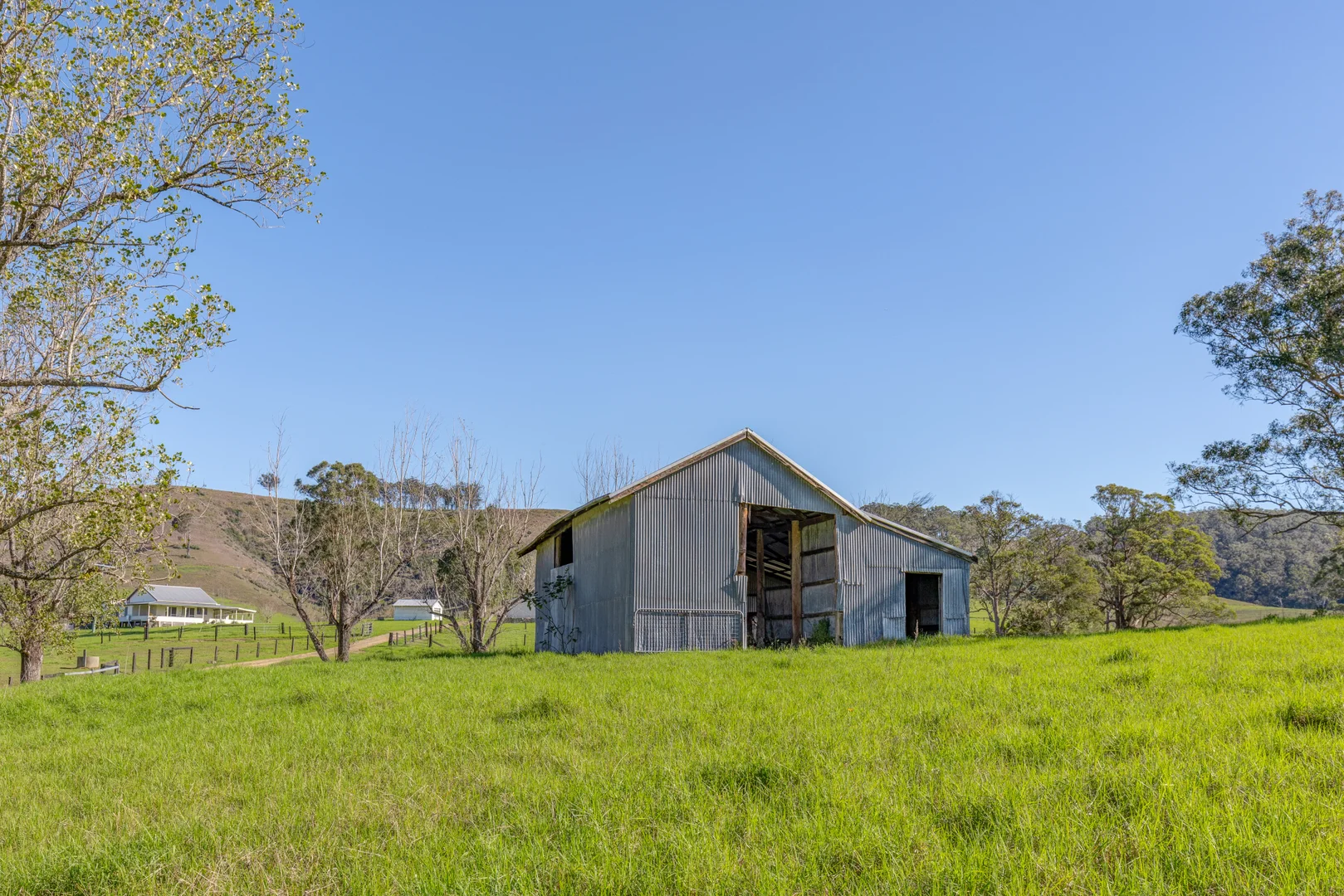 Image 15
