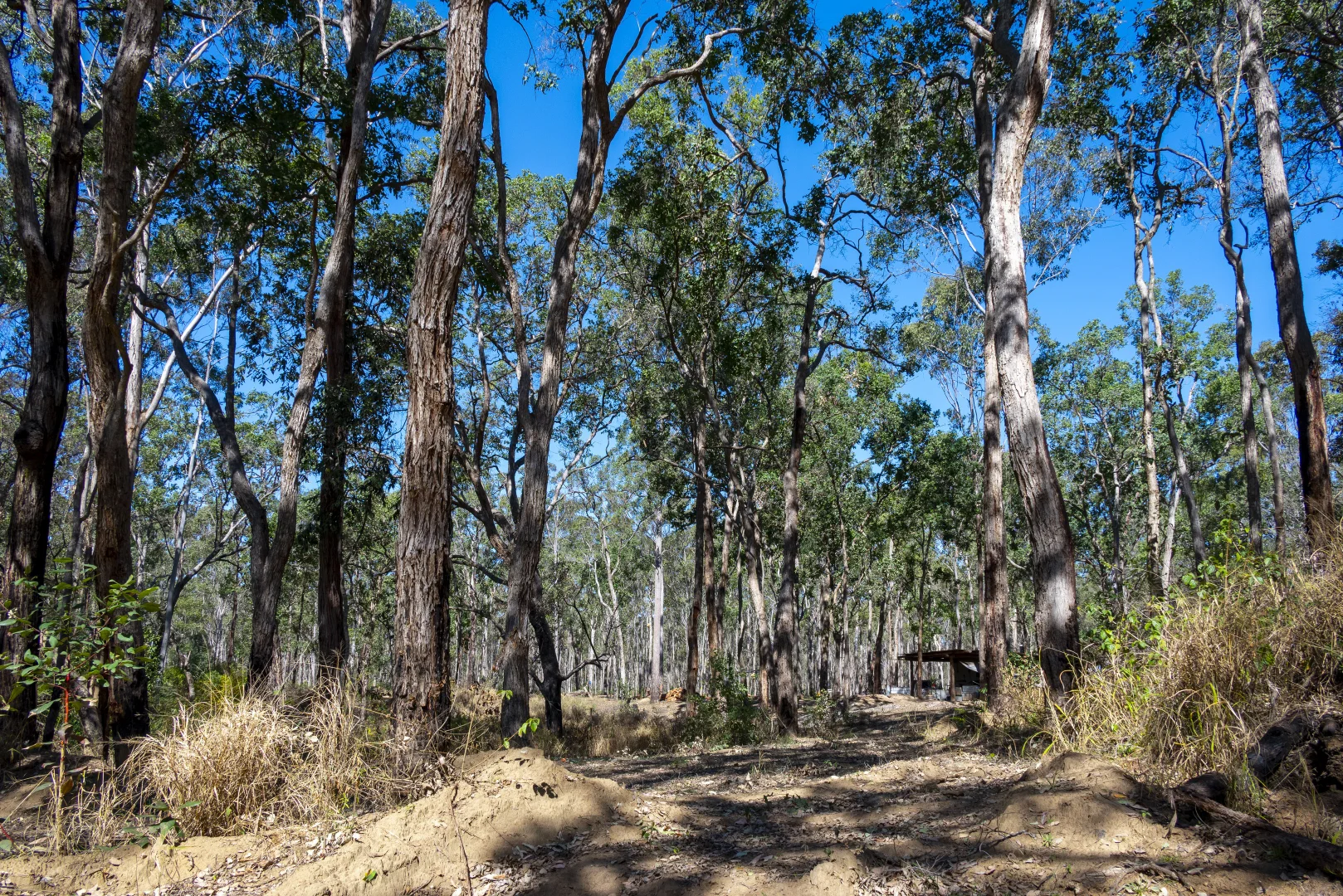 Image 25