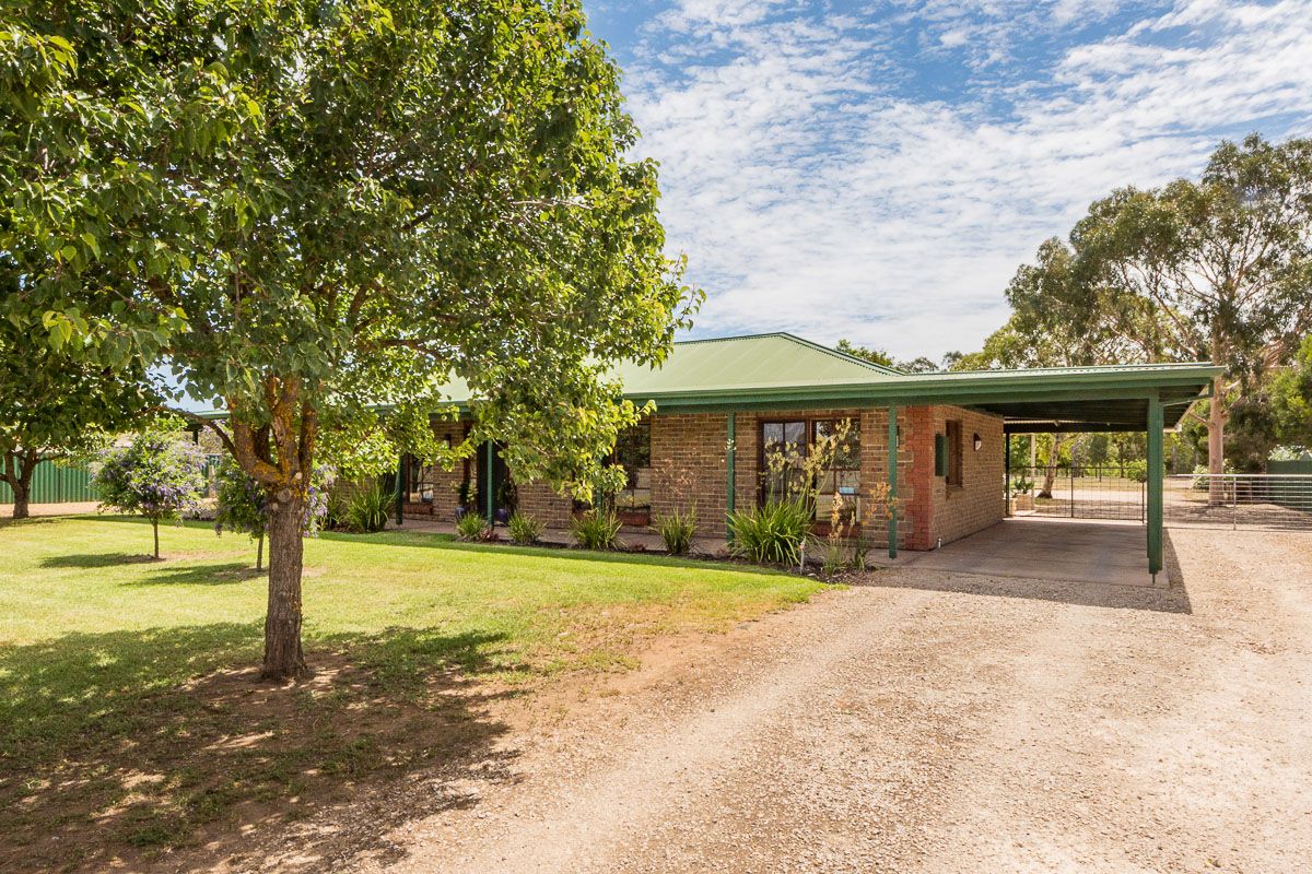 199 Lines Road, Strathalbyn SA 5255, Image 0