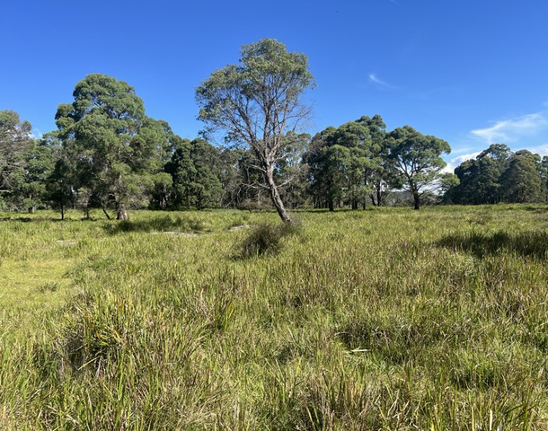 414 Square Range Road, Red Range NSW 2370