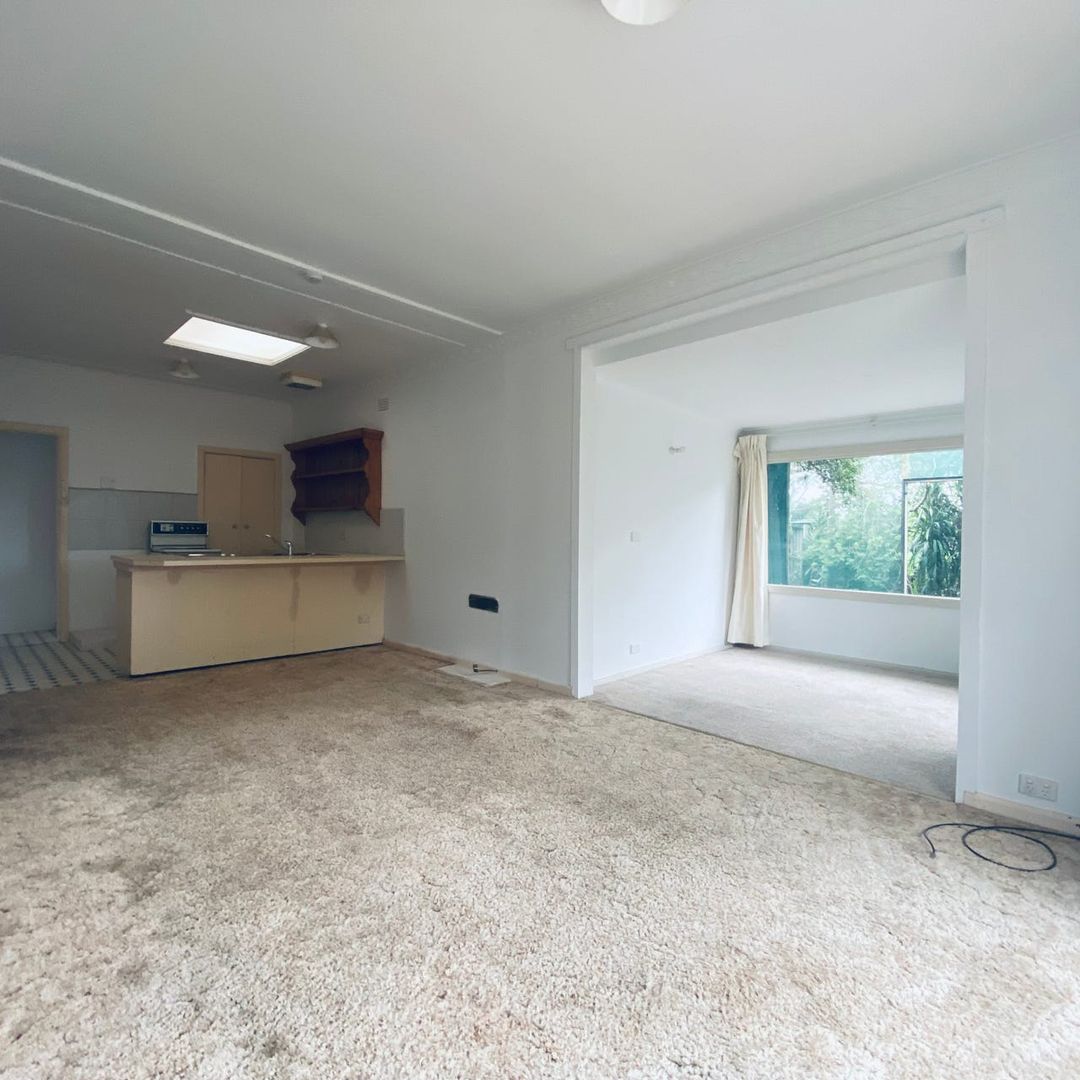 2/59 Maurice Street, Herne Hill VIC 3218 Apartment For Rent 280