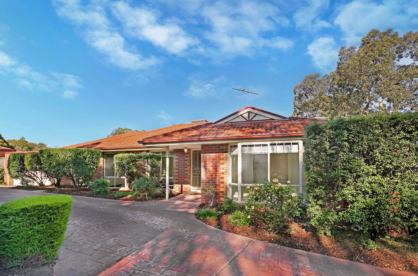 3 bedrooms Apartment / Unit / Flat in 2/19 River Street BRIAR HILL VIC, 3088