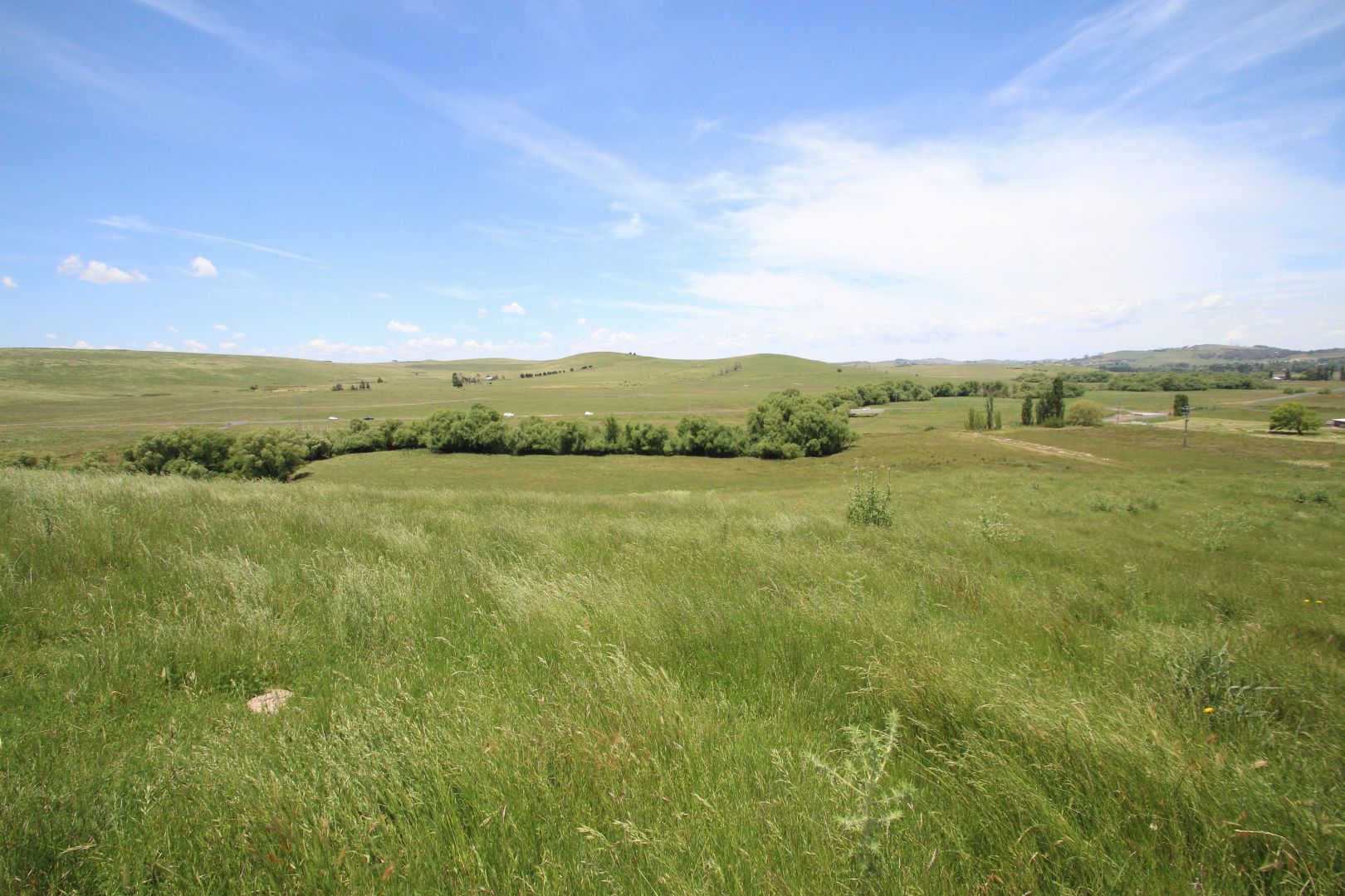 82 Guyong Road, Blayney NSW 2799 House for Sale Domain