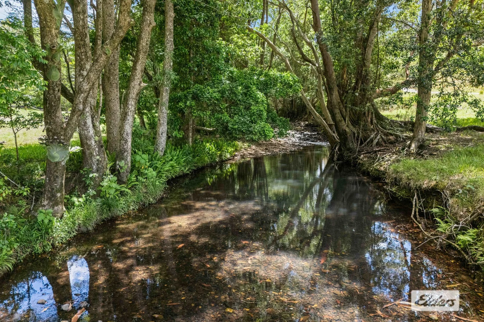Image 16