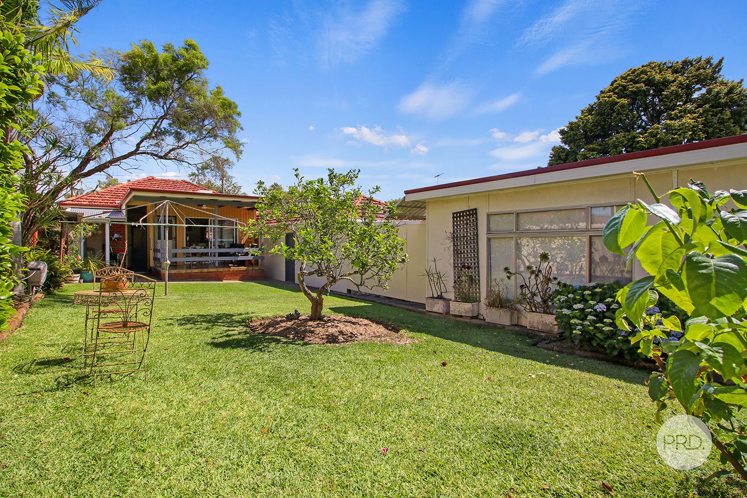 16 Eldon Street, Riverwood NSW 2210, Image 1