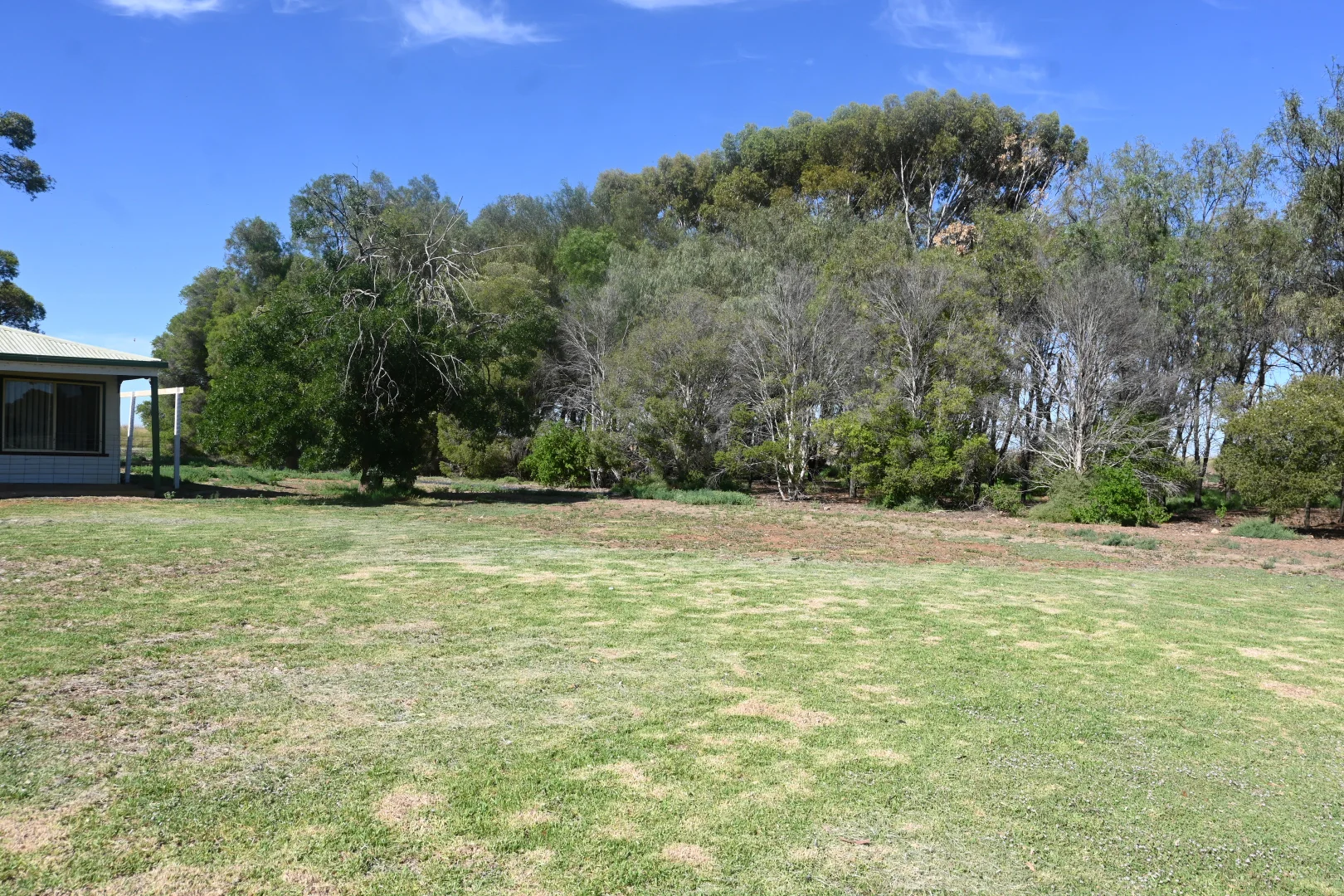 Image 25
