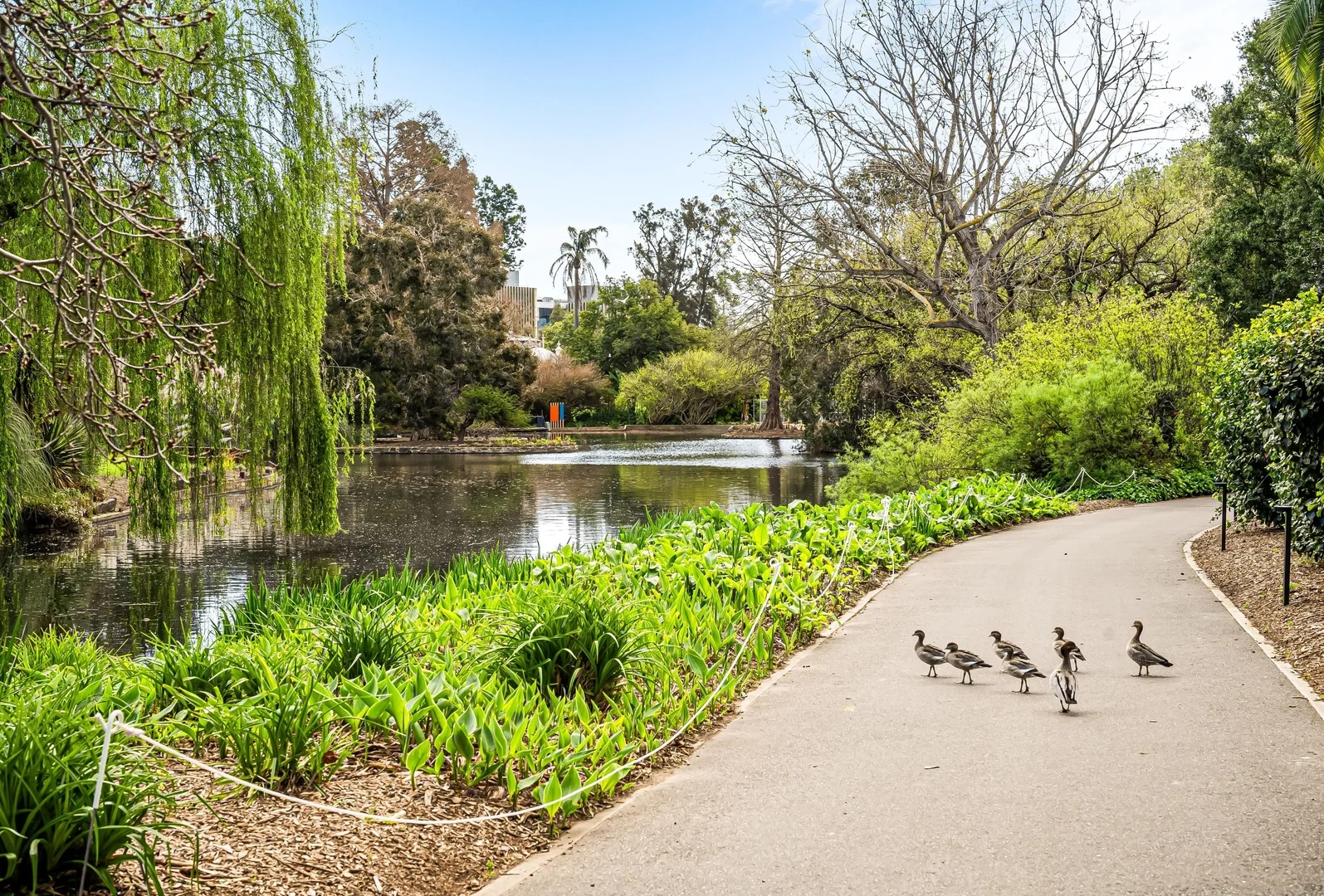 Additional image 13 of 4 Trestrail Street, Magill SA 5072