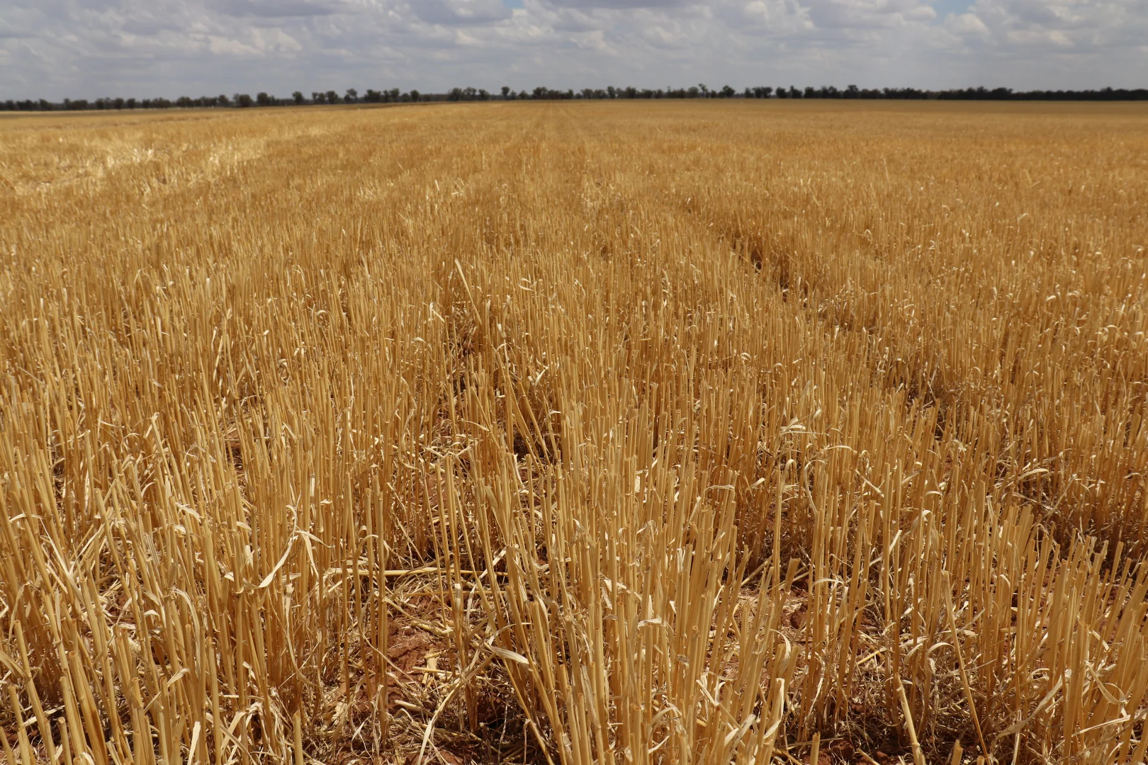 Image 23