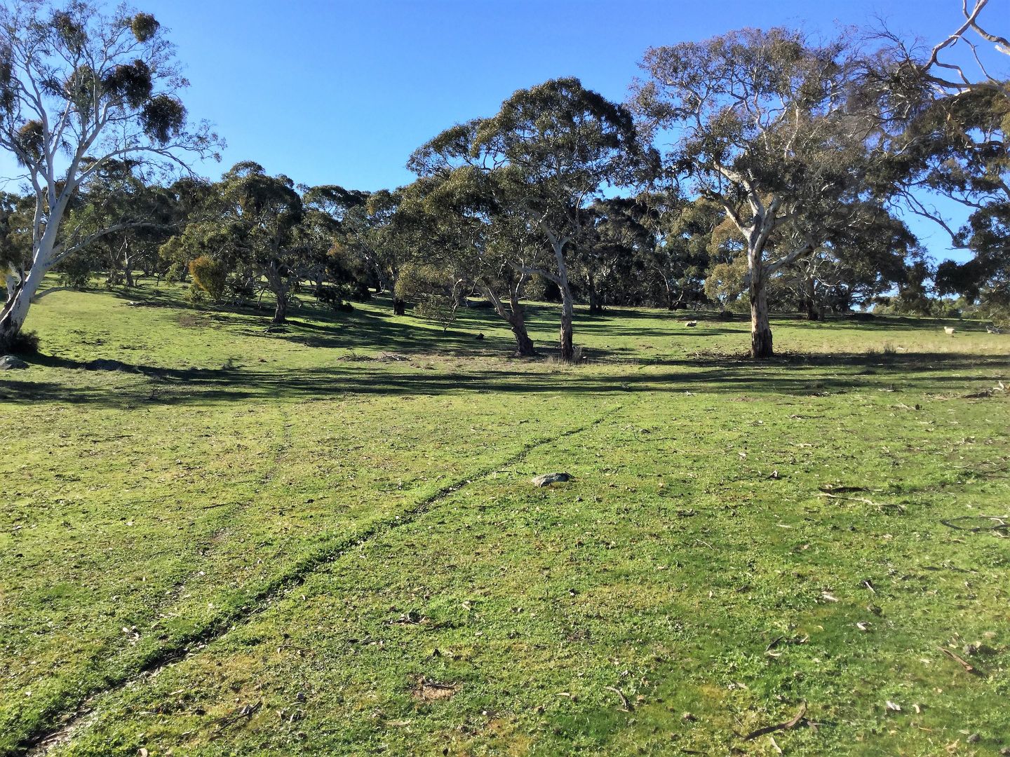 57 (Lot 3) Dawson Road, Mount Crawford SA 5351, Image 1