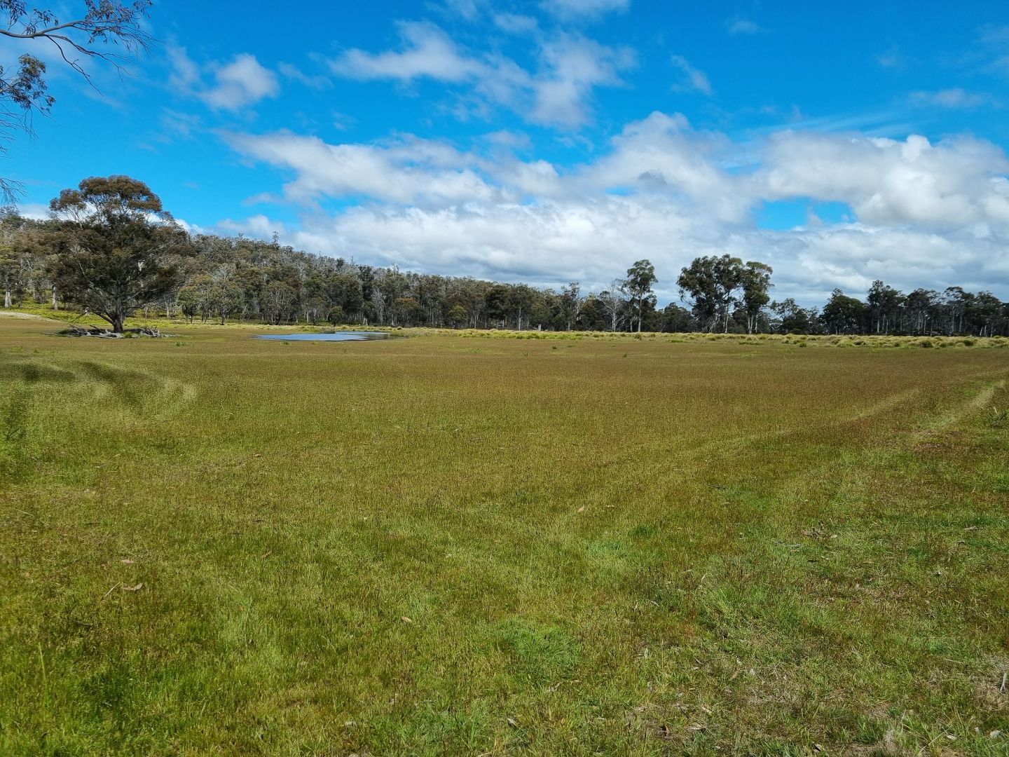 PID 5475910 McGuires Marsh Road, Osterley TAS 7140, Image 2