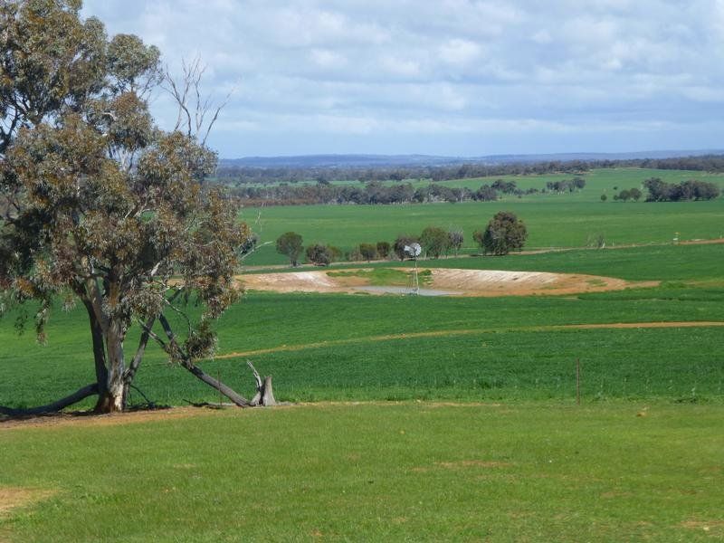 Lot 7219 Dews Road, Popanyinning WA 6309, Image 2