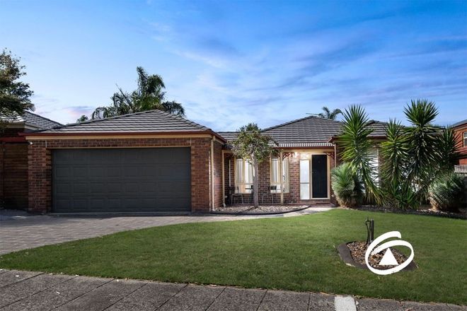 Picture of 11 Cilento Crescent, LYNBROOK VIC 3975