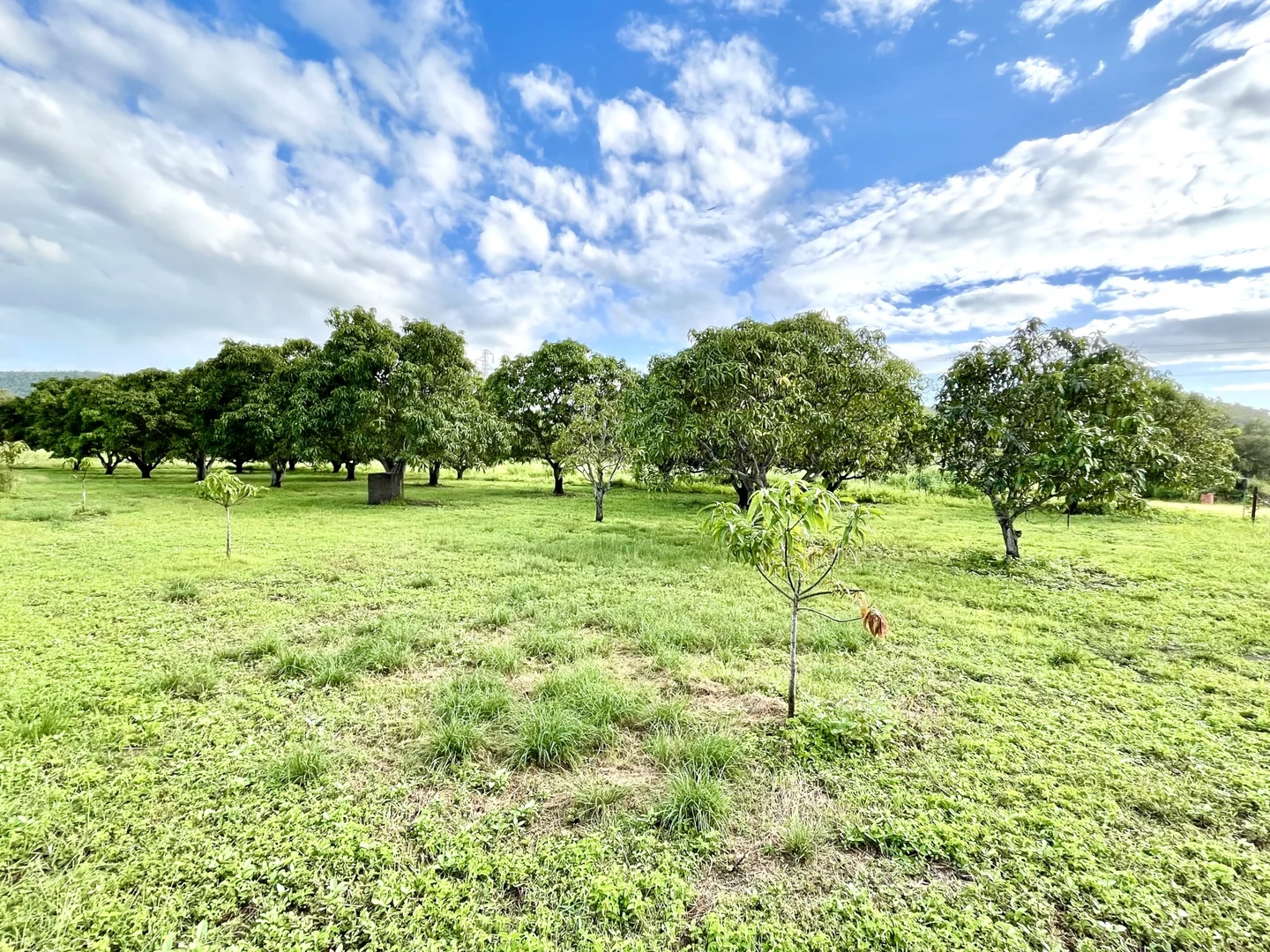 Additional image 21 of 22 Sawmill Road, Woodstock QLD 4816