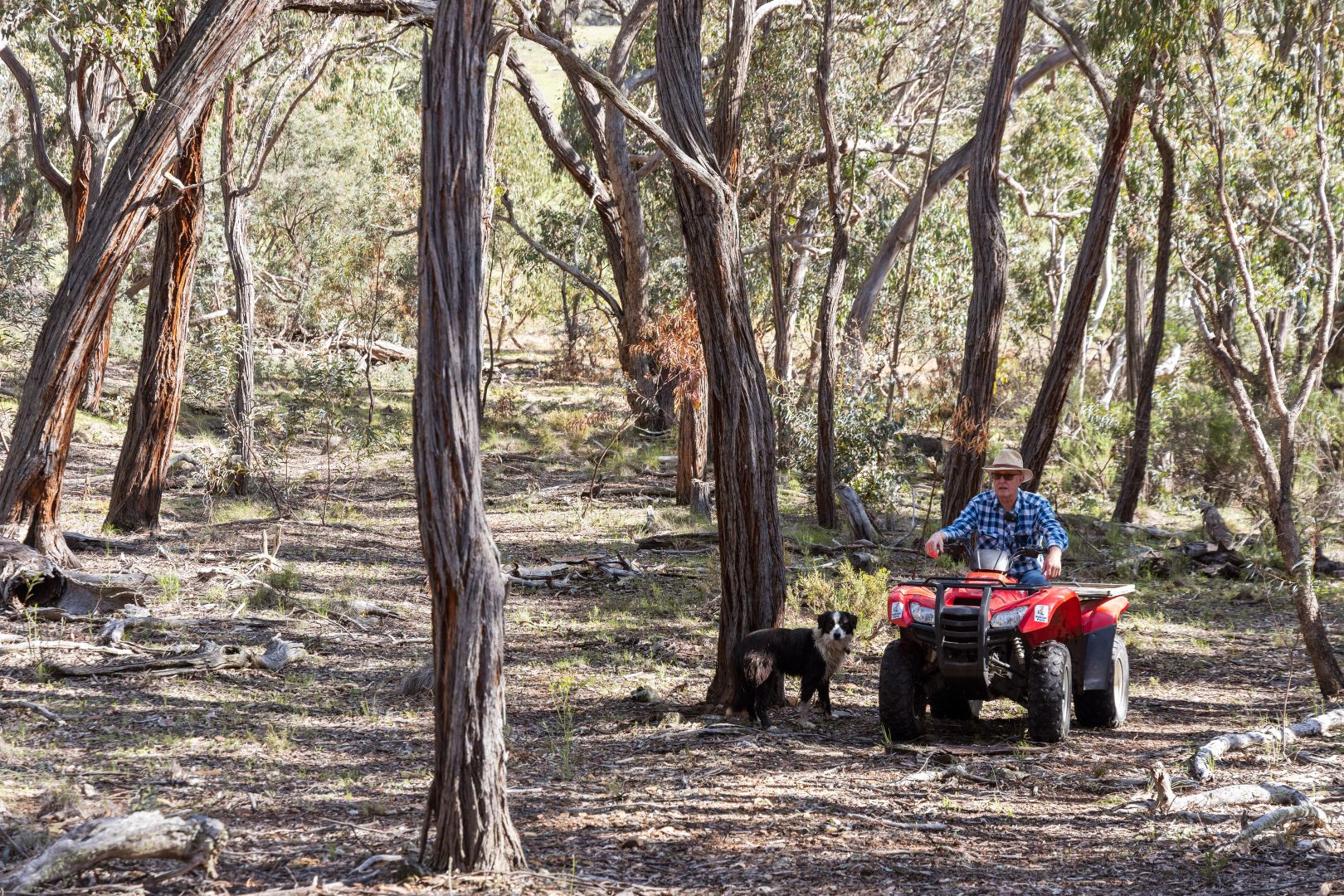 "Yarandoo" 425 Bundarra Road, Jerangle NSW 2630, Image 2