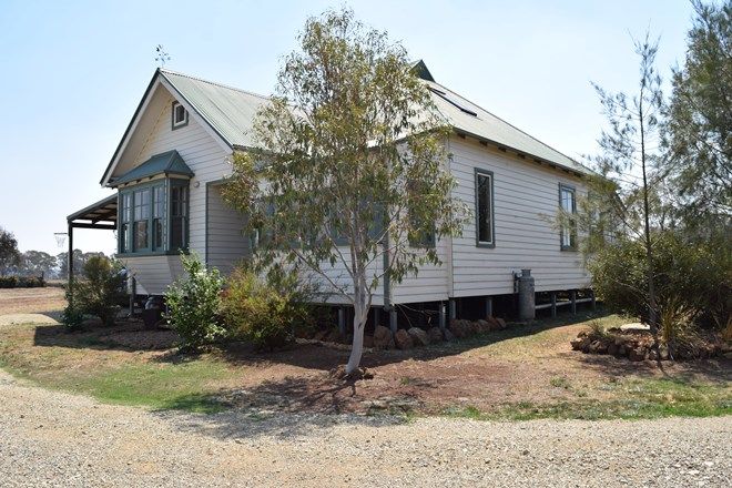 Picture of 821 Black Mountain Road, BLACK MOUNTAIN NSW 2365