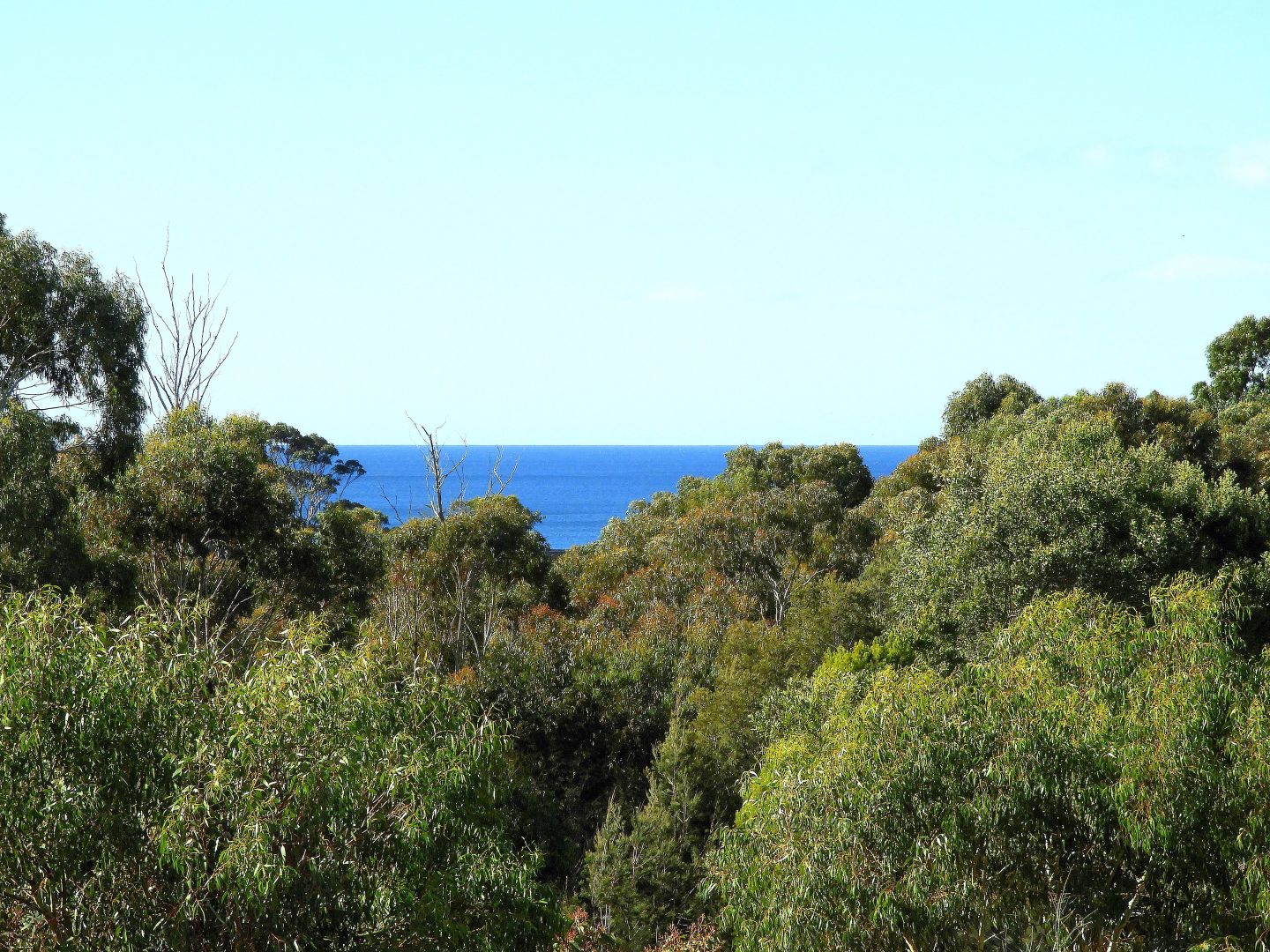 20 Cherrywood Drive, Scamander TAS 7215, Image 1