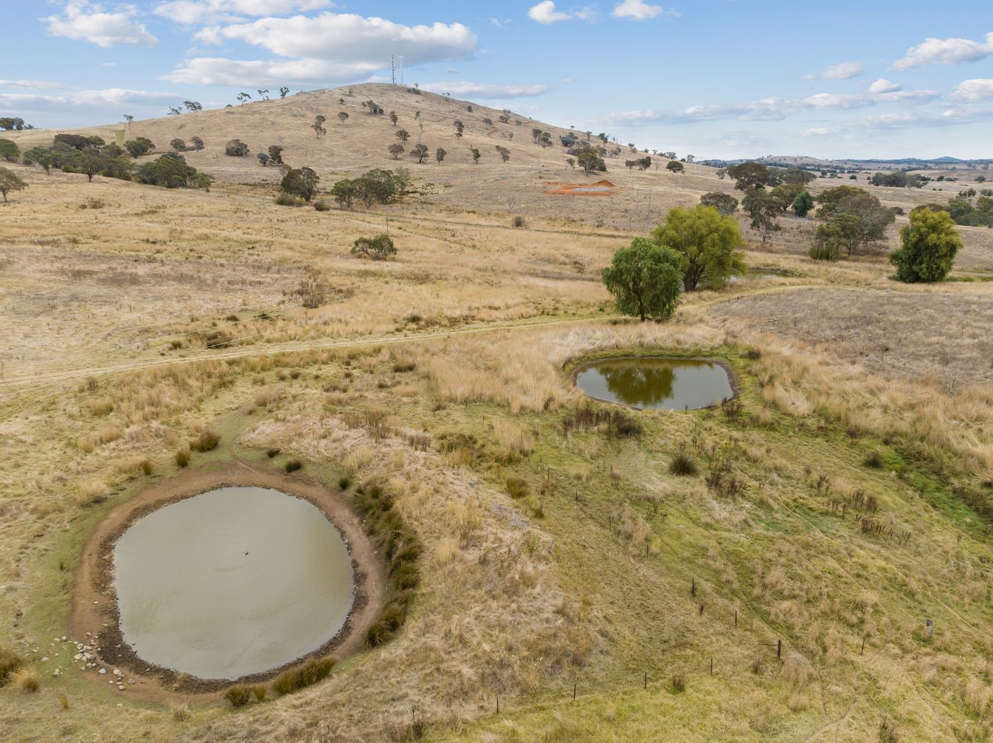 "Monteagle"/326 Brial Road, Boorowa NSW 2586, Image 2