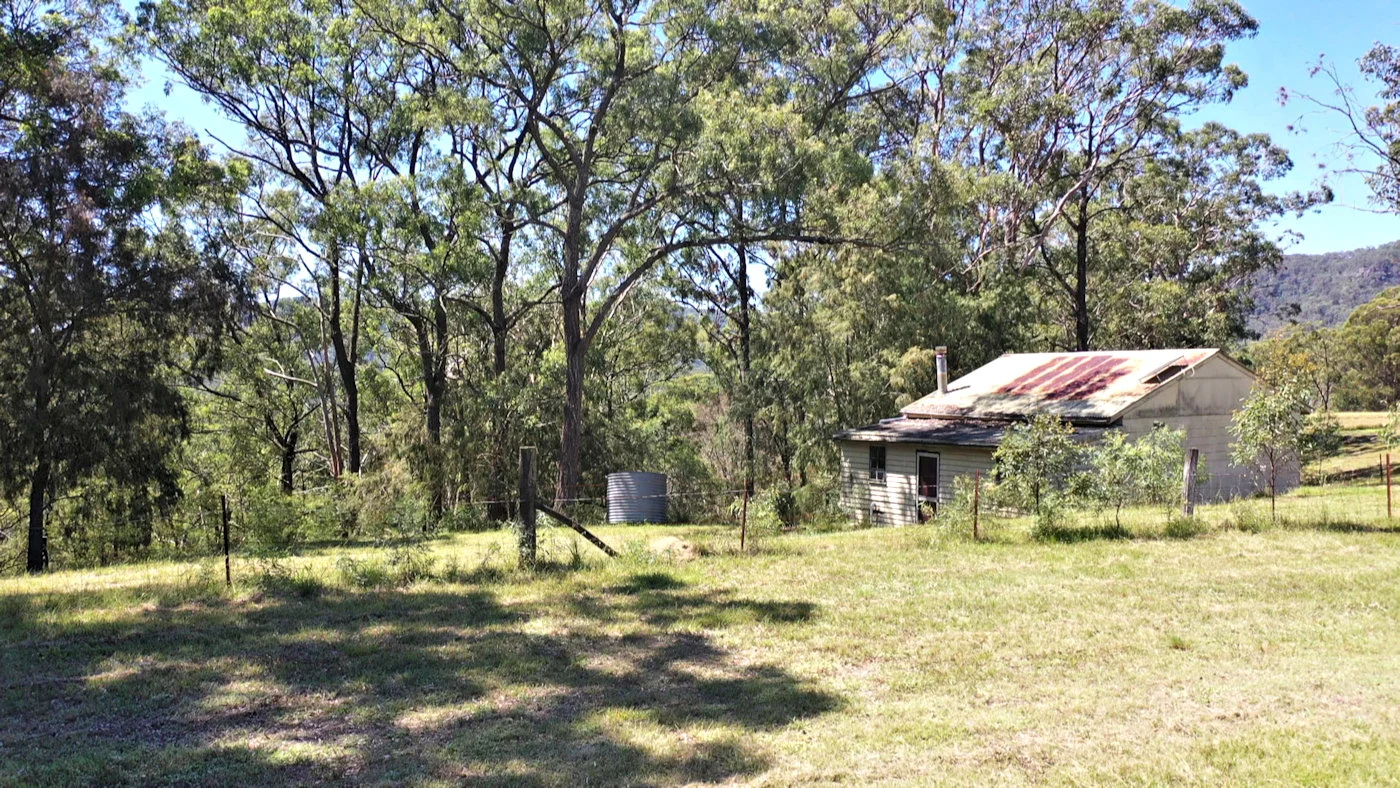 Image 8