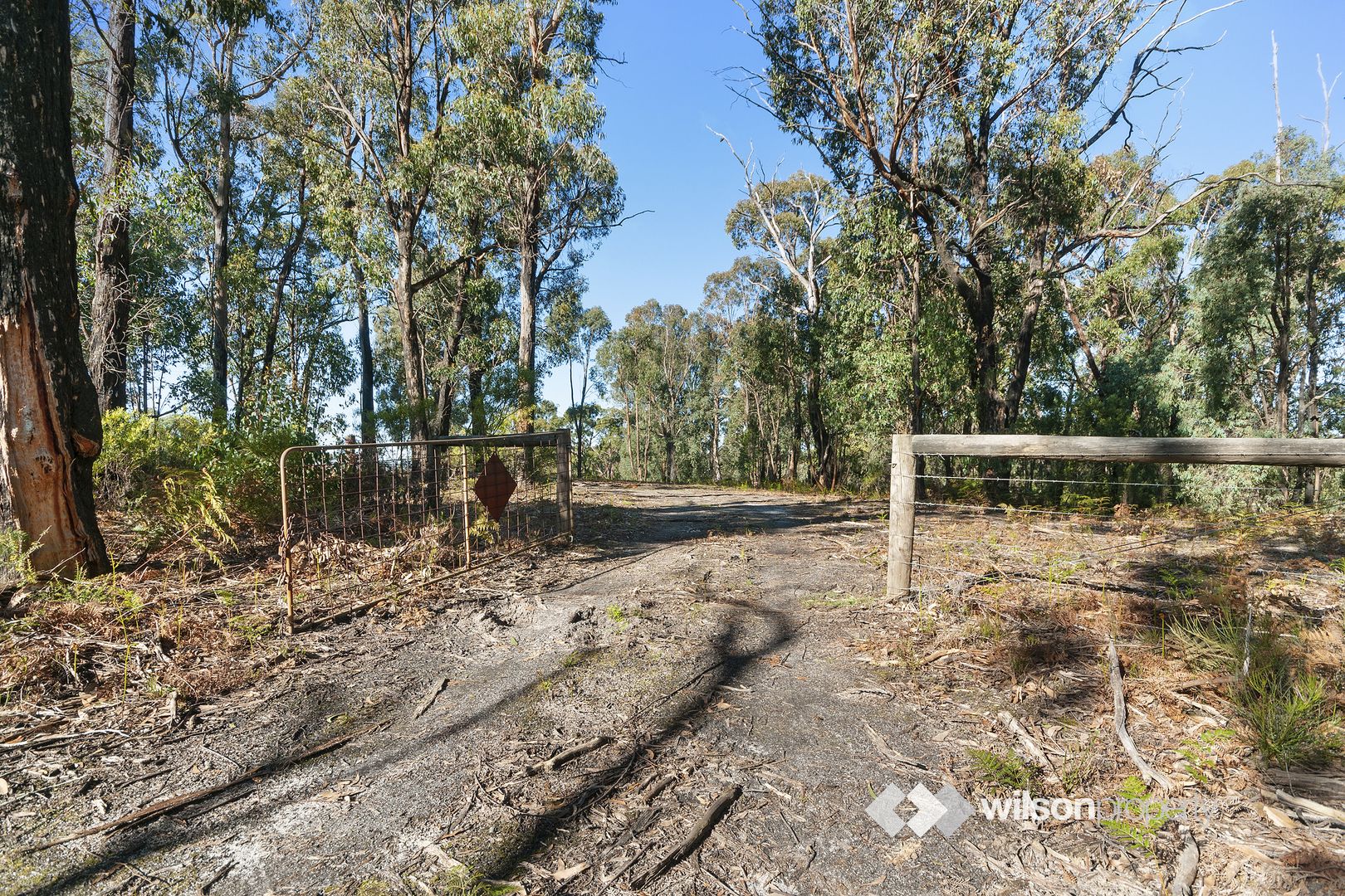 147 Old Callignee Road, Callignee VIC 3844, Image 1