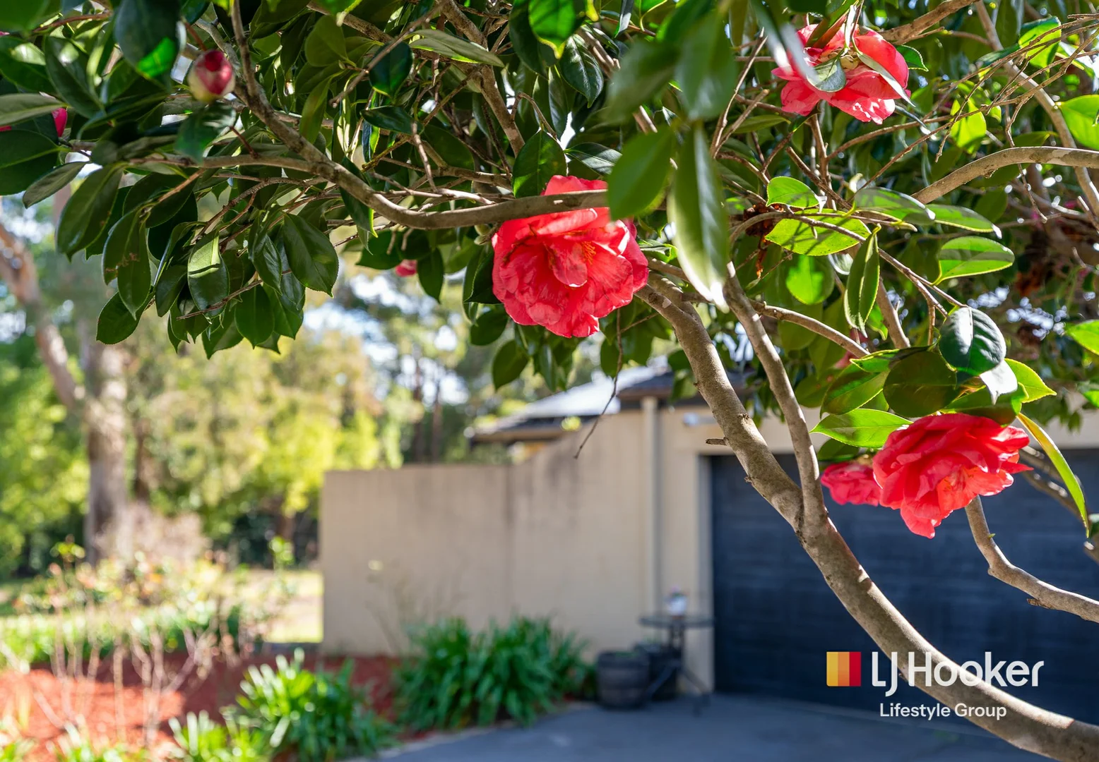Image 17