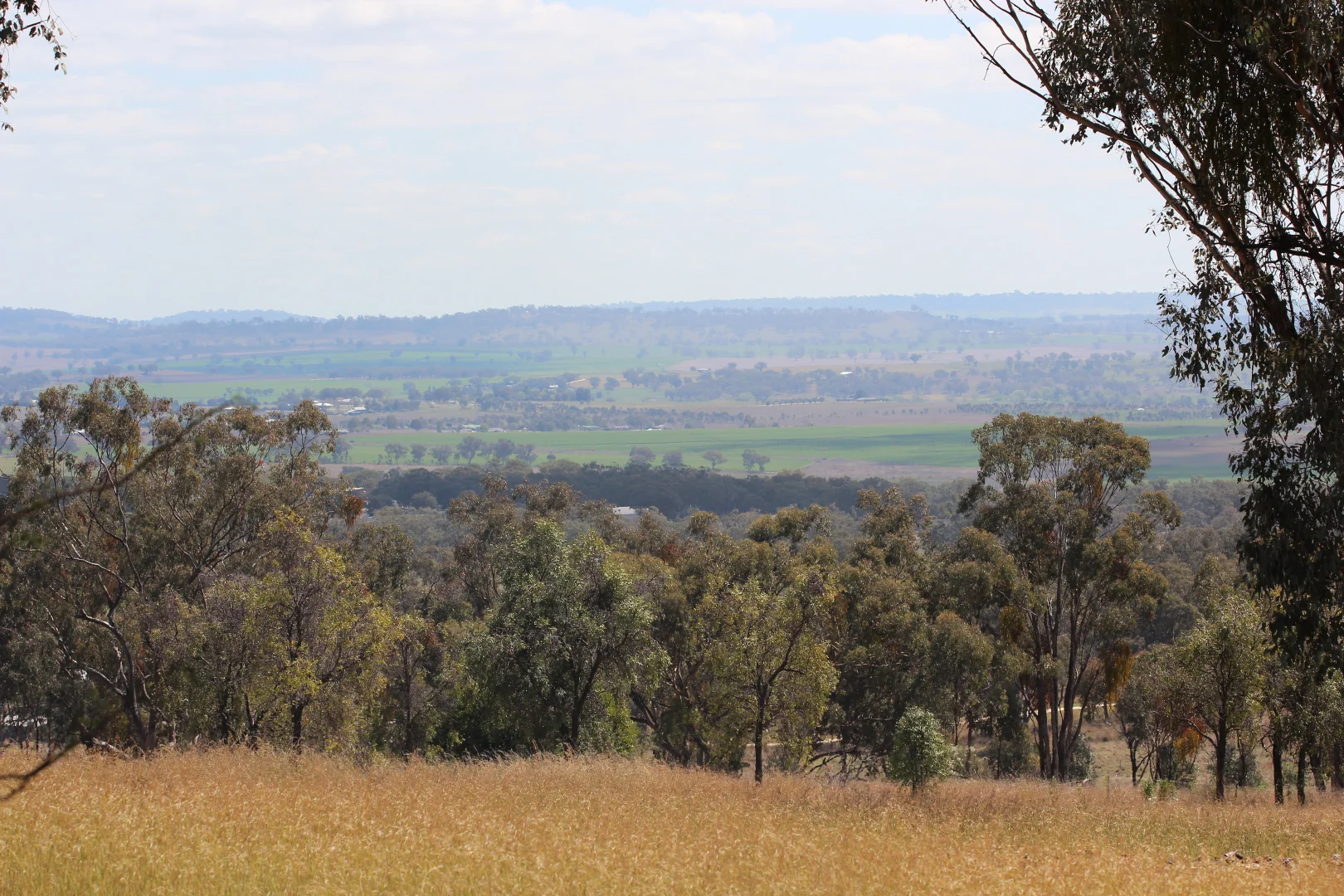 Image 30
