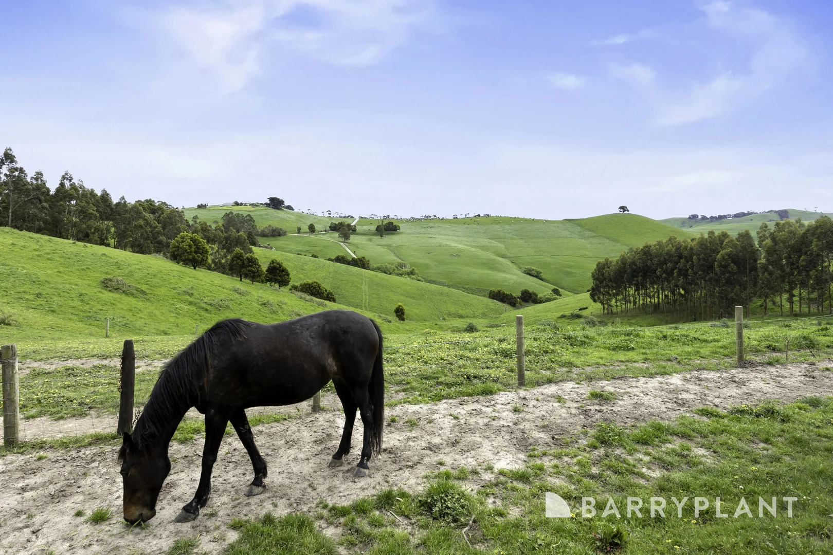 Additional image 34 of 10 Baker Road, Krowera VIC 3945