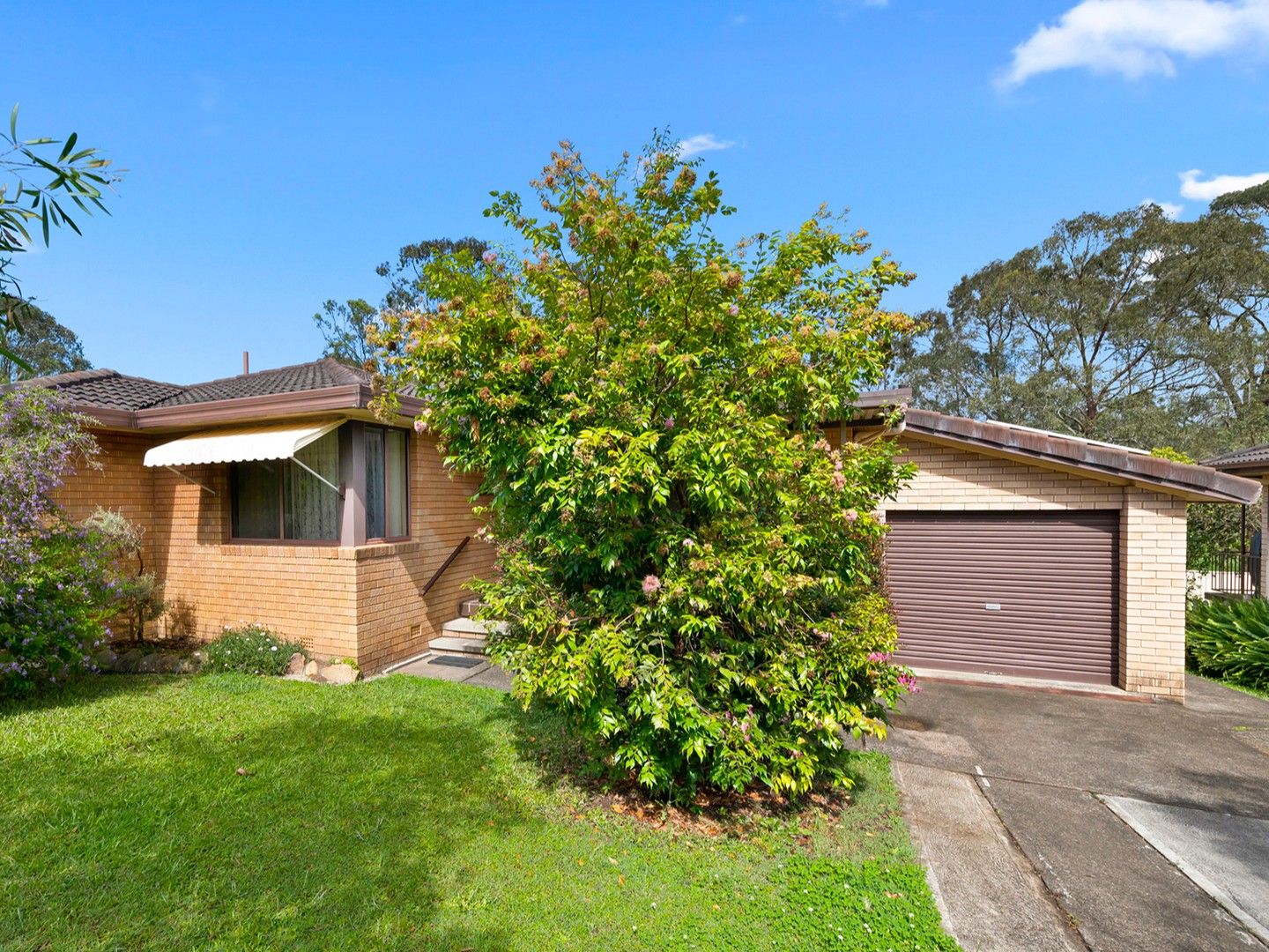 24 Blue Gum Avenue, Wingham NSW 2429, Image 0