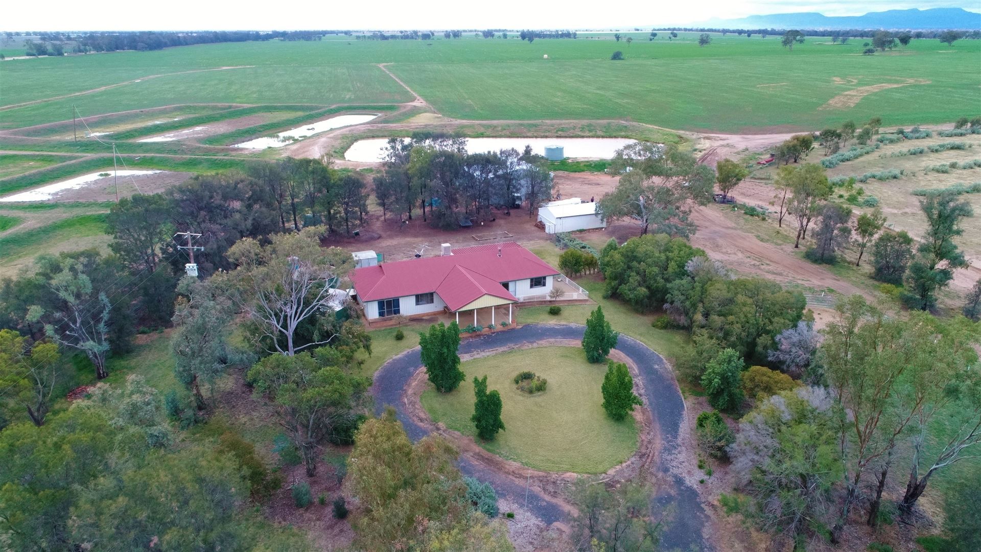 Curban NSW 2827 Farm for Sale 625,000 Domain