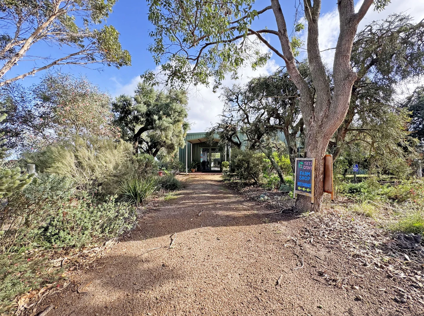 Image 5