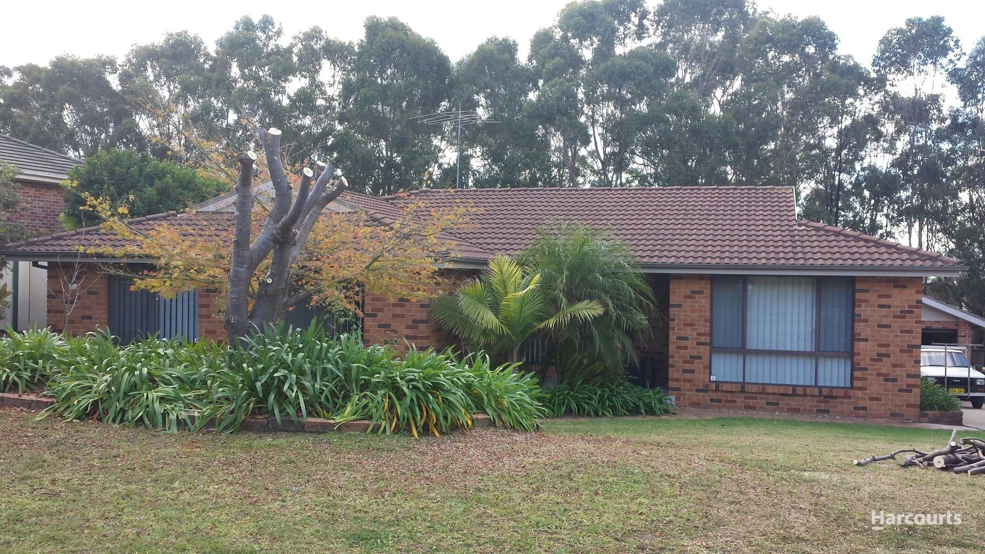 47 Mount Huon Circuit, Glen Alpine NSW 2560 House For Rent Domain