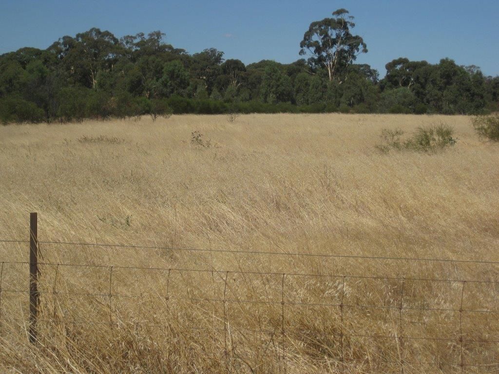 CA 11/Sec B Woosang Cnr Turnbulls Road And Calder Highway, Wedderburn VIC 3518, Image 1