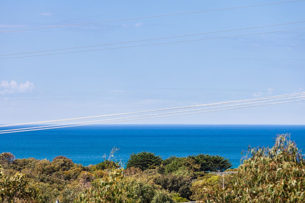 225 Great Ocean Road, Anglesea VIC 3230, Image 2