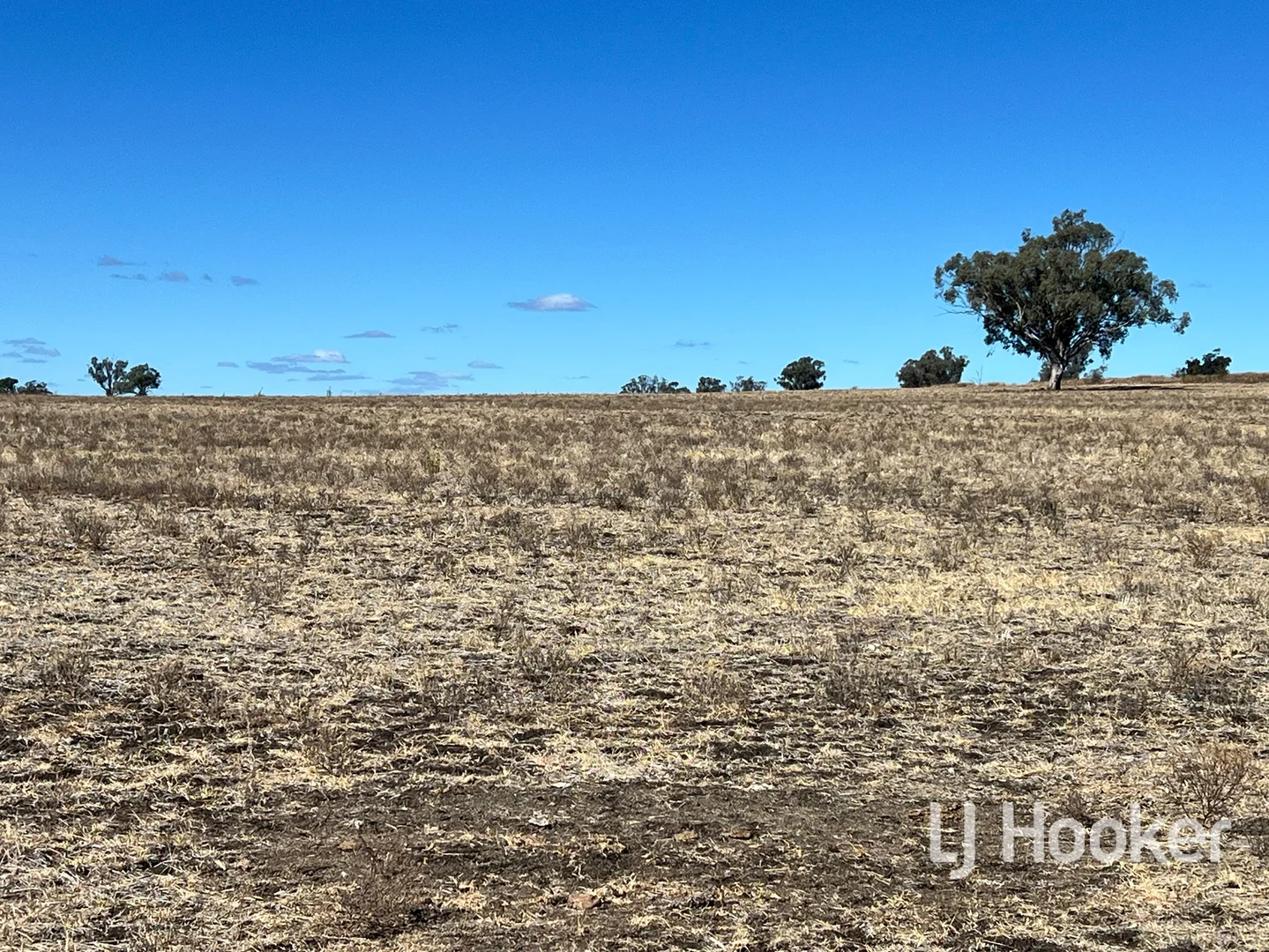 Additional image 5 of 154 Leaders Lane, Inverell NSW 2360