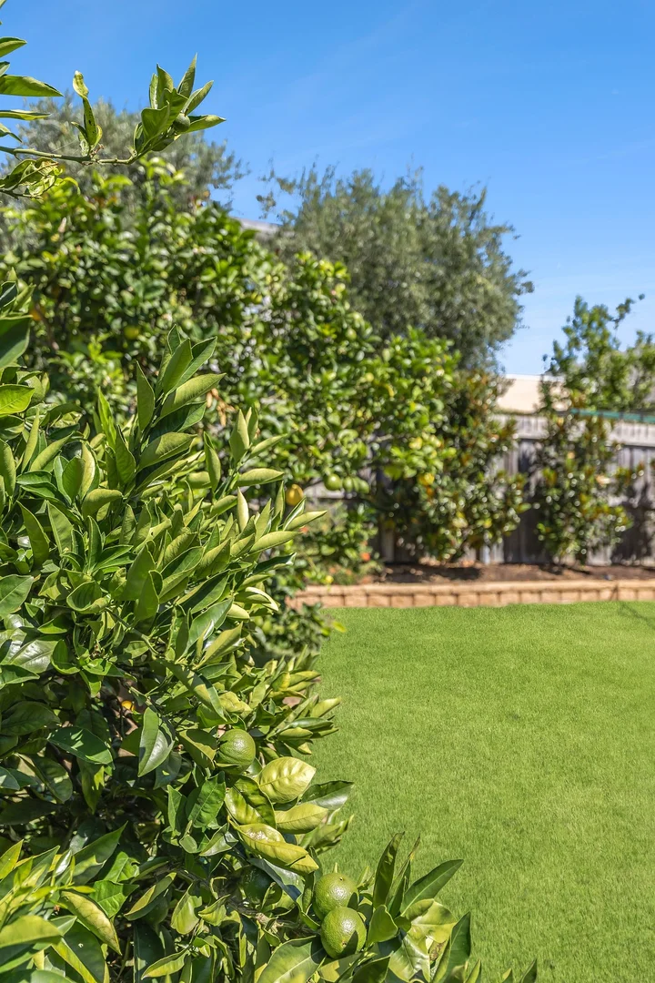 Additional image 11 of 40 Madeley Street, Ocean Grove VIC 3226