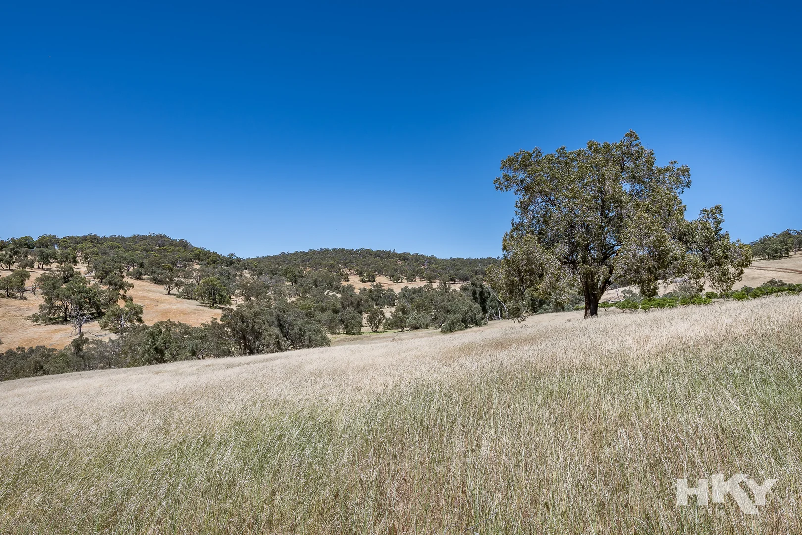 Image 15