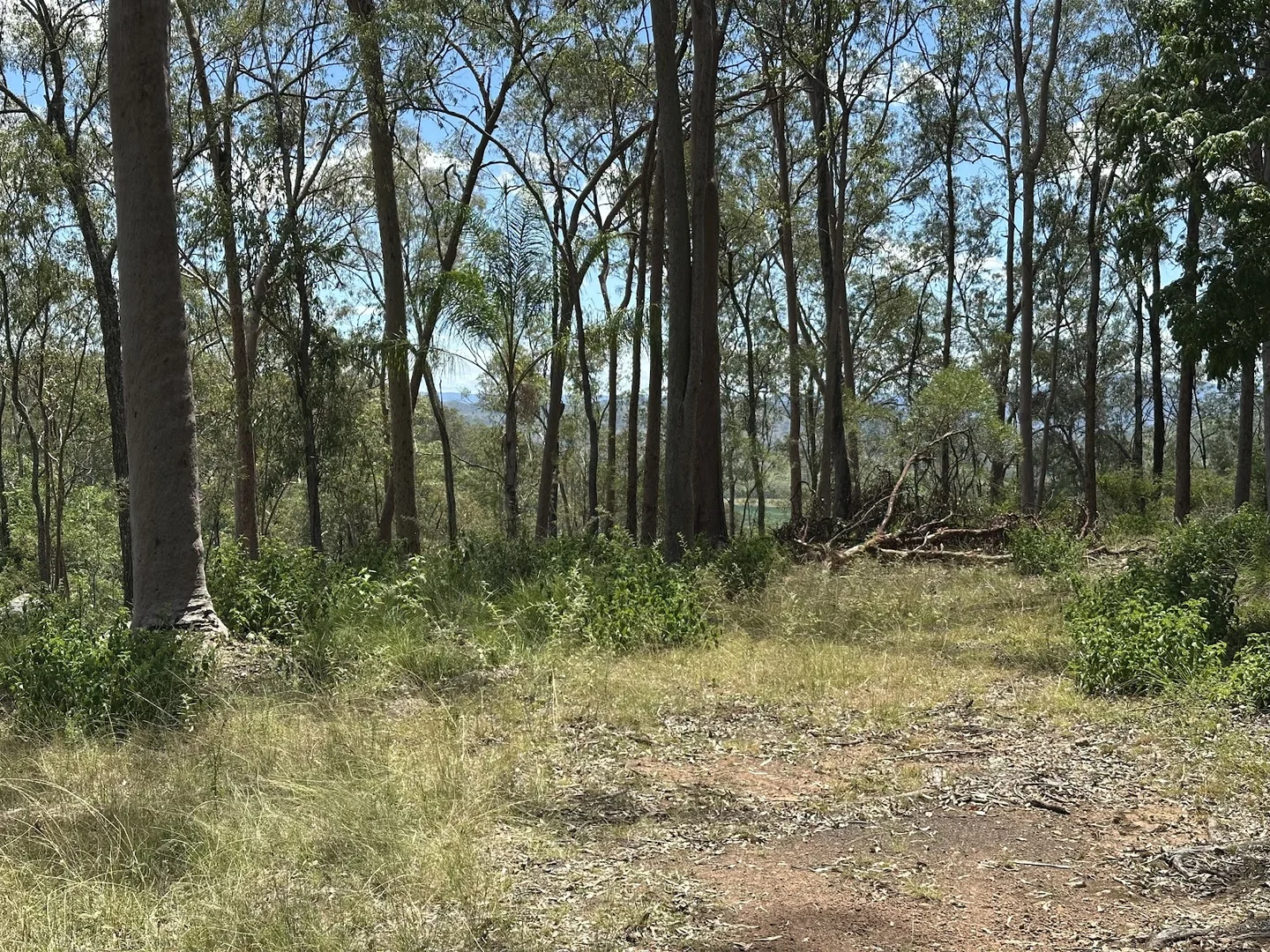 Additional image 24 of 142 Highland Street, Esk QLD 4312