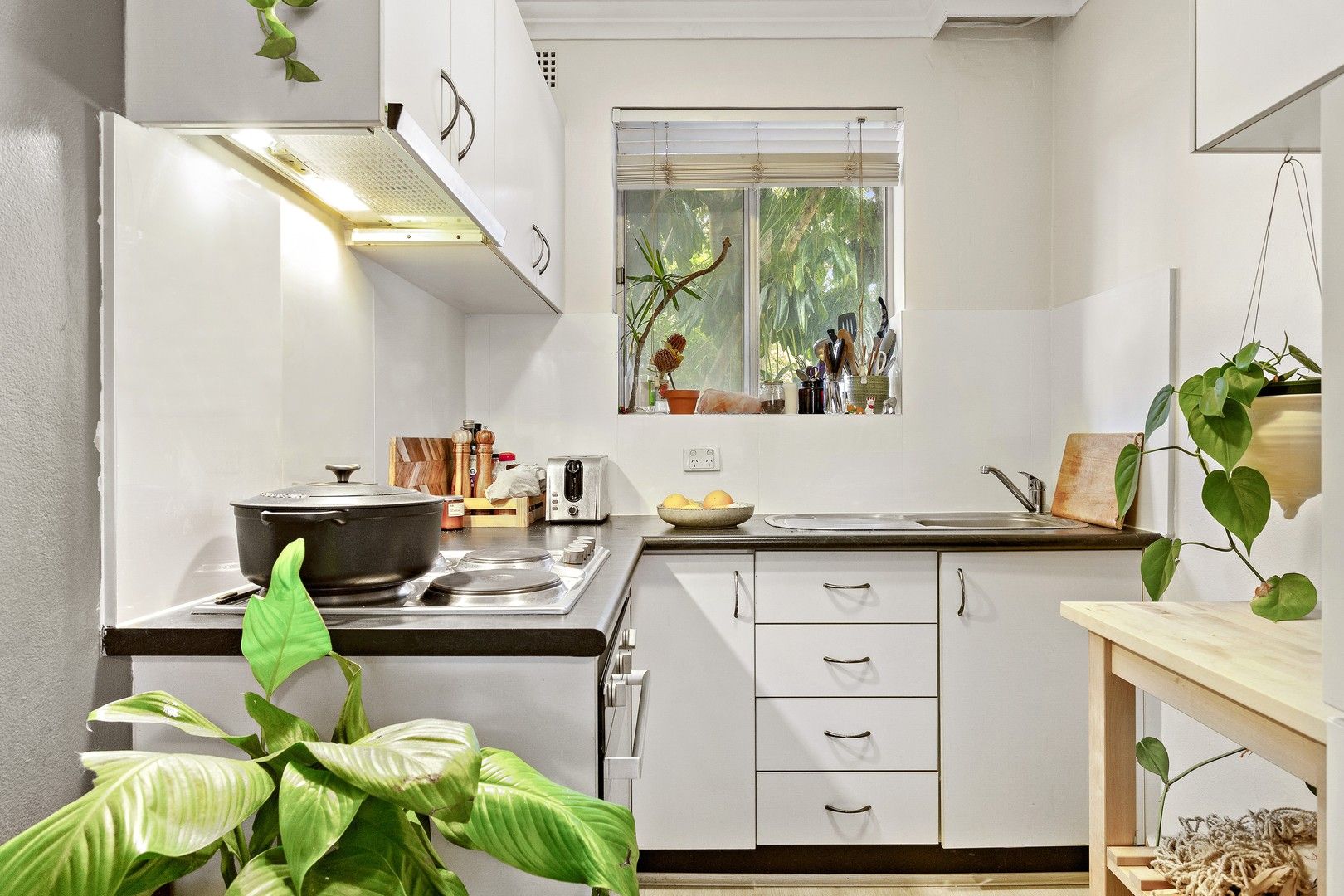 1 bedrooms Apartment / Unit / Flat in 7/104 Alice Street NEWTOWN NSW, 2042