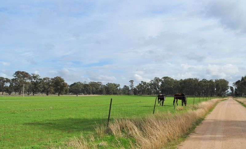 320 Brittas Reserve Road, Walbundrie NSW 2642, Image 2