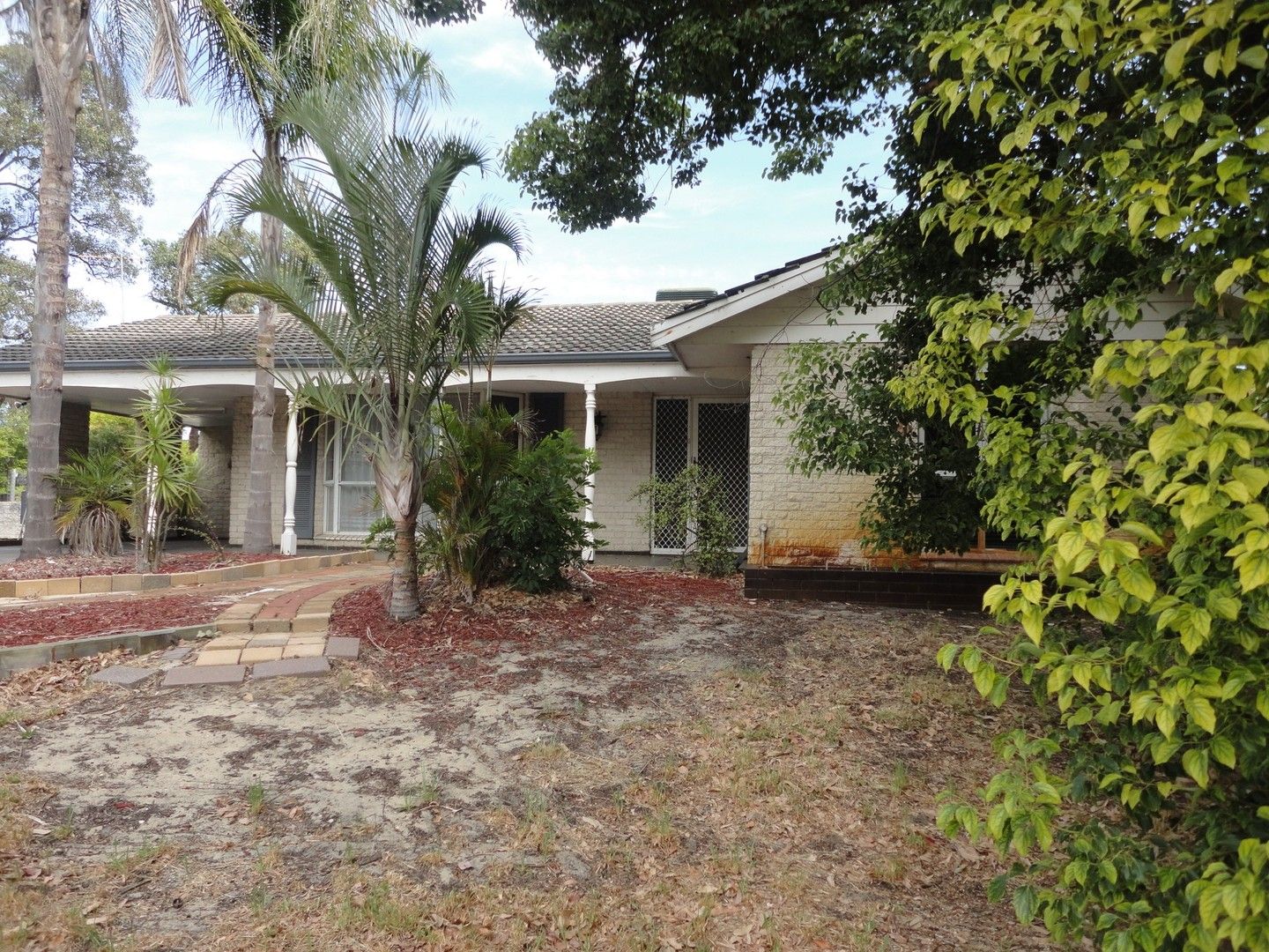 581 Welshpool Road, Wattle Grove WA 6107 House For Rent Domain