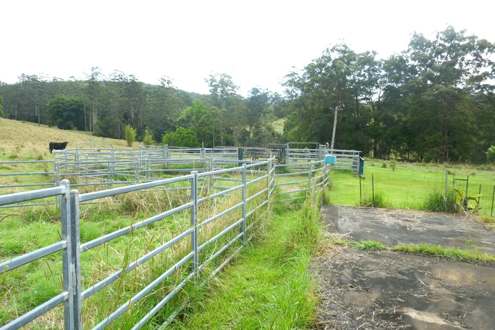 Image 8