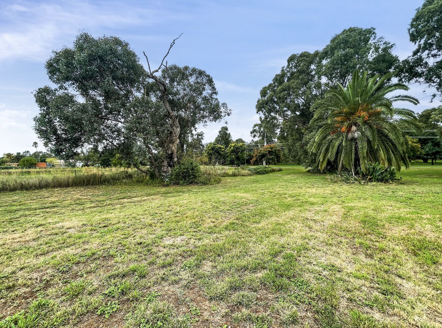 Lot 4 Broad Street, Eugowra NSW 2806 Domain