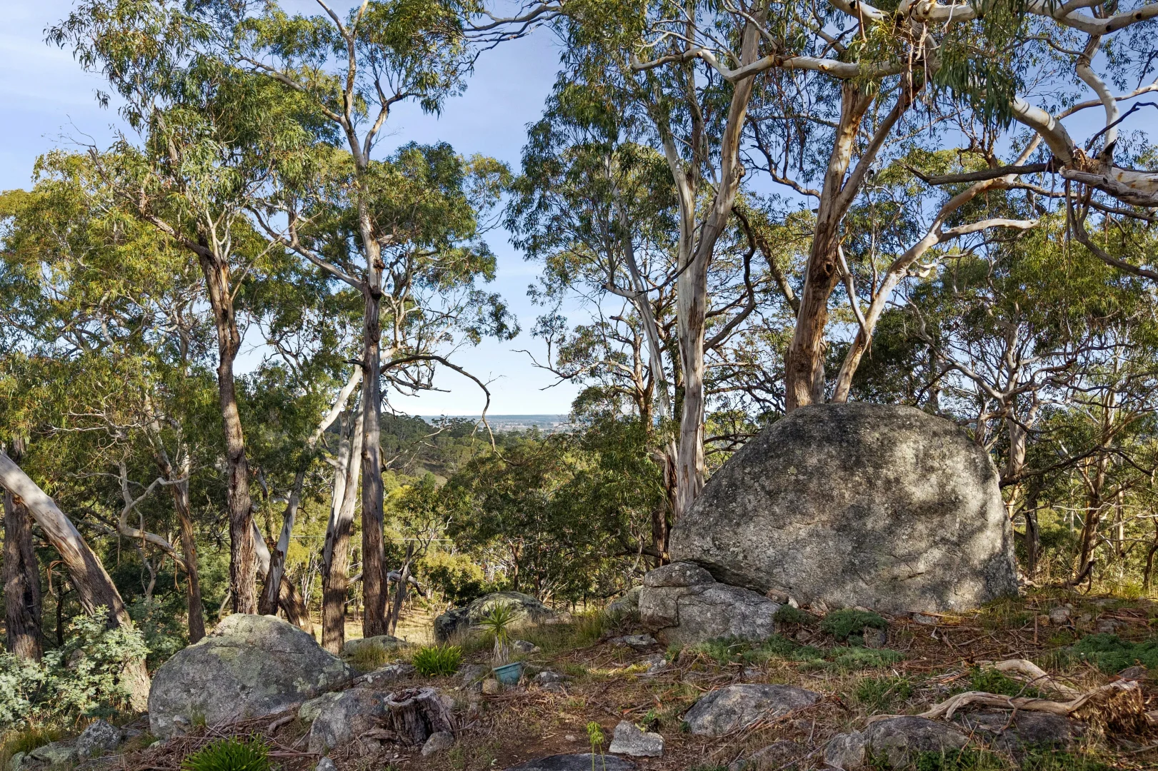 Image 15