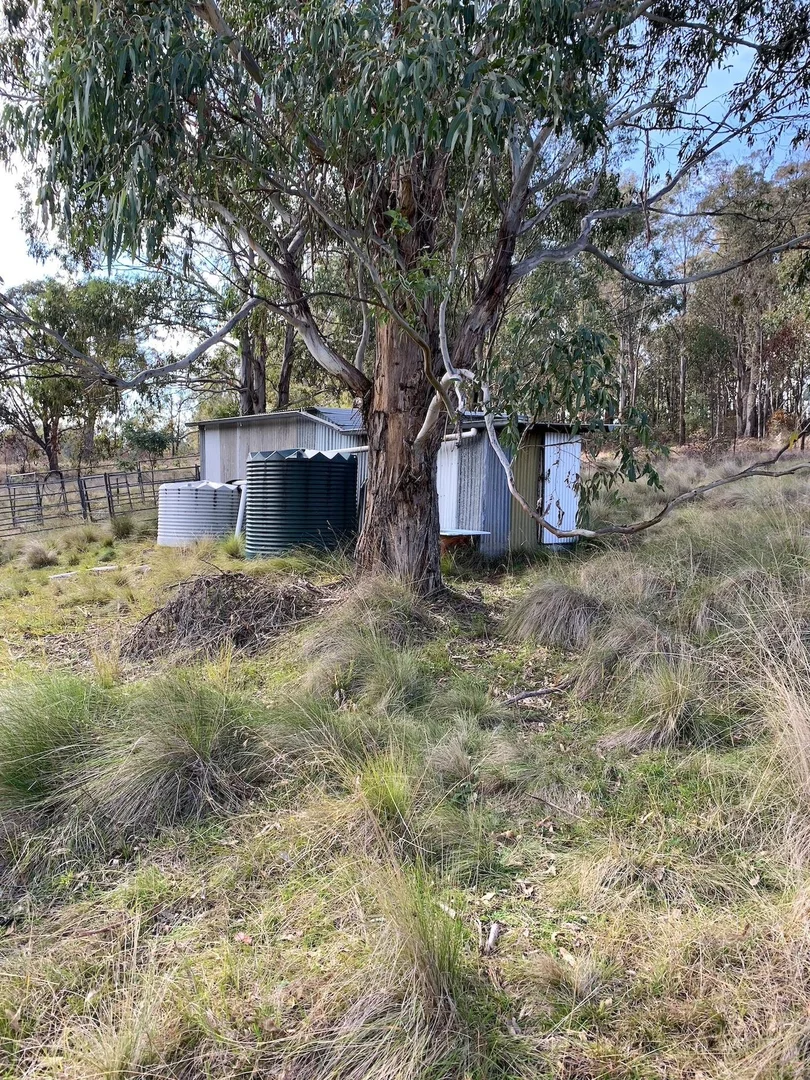 Image 10