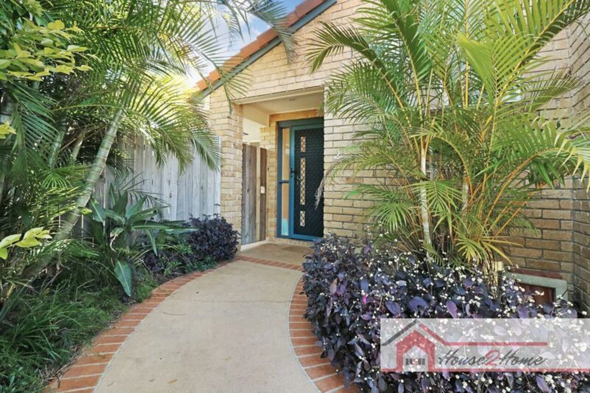 3 bedrooms House in 53B Conebush Circuit ORMEAU QLD, 4208