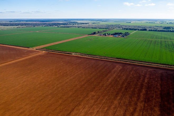 444 Real Estate Properties For Sale In Carrathool Nsw 2711 Domain